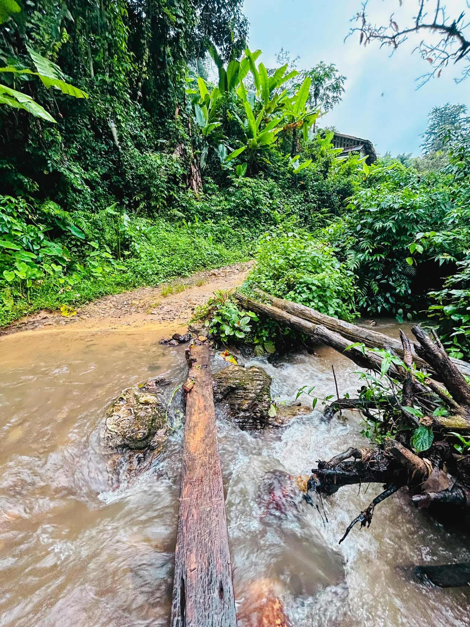A wooden crossing used by the community