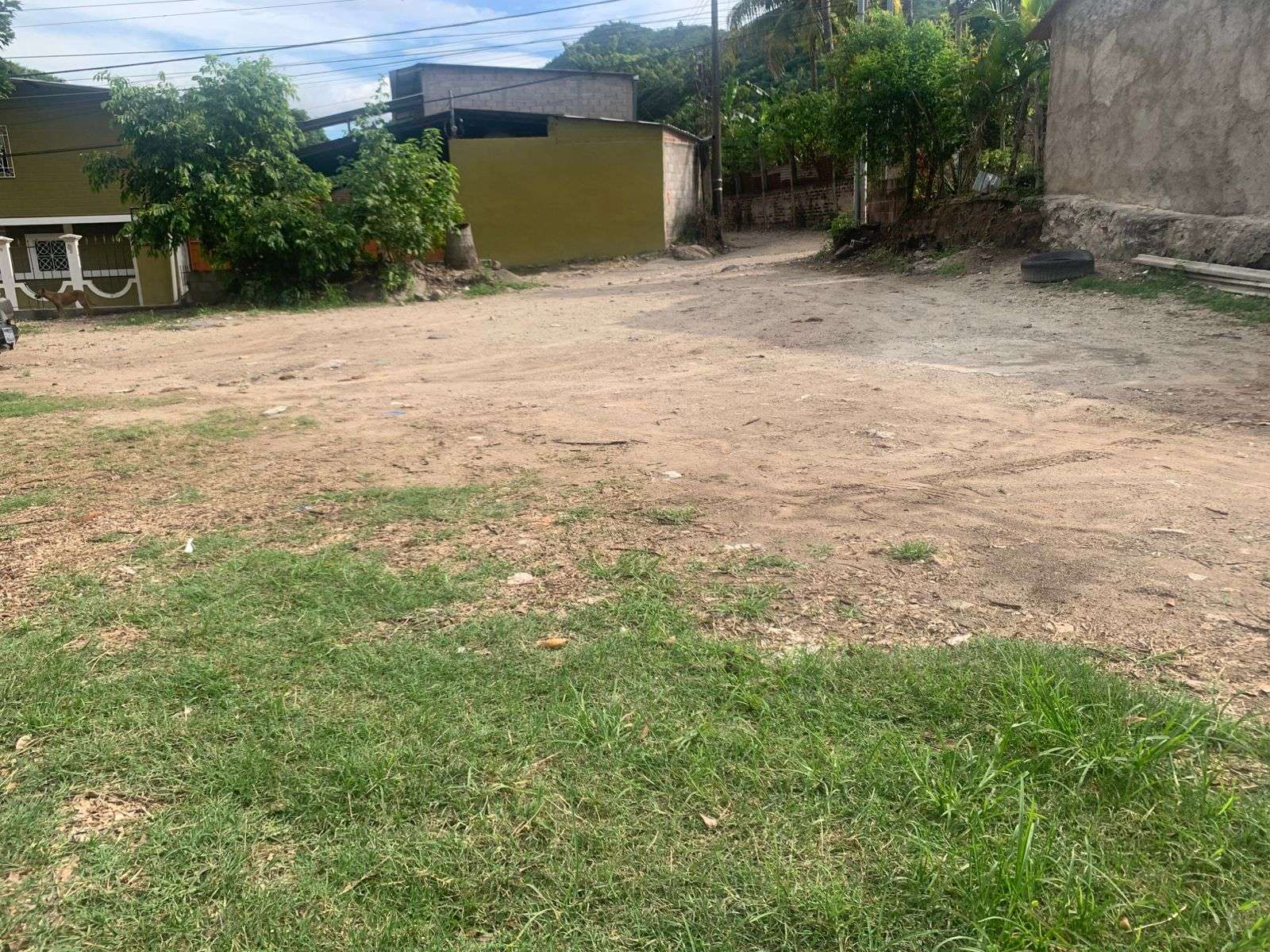 This is what the land looks like now