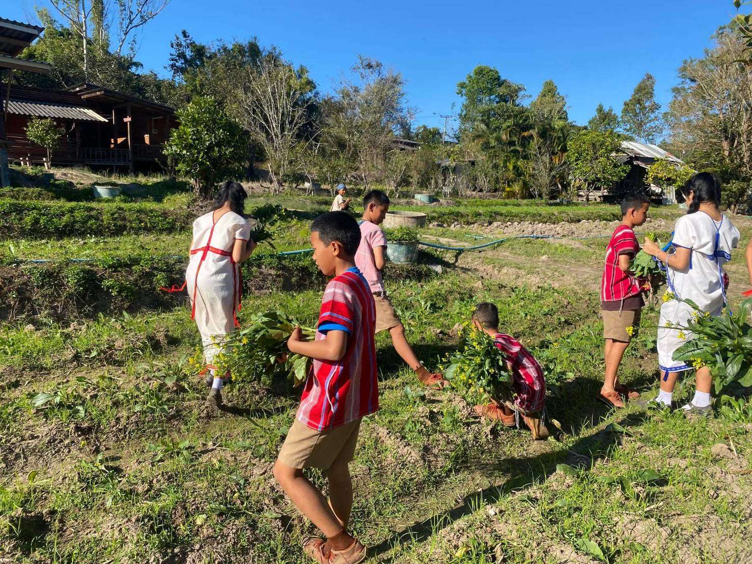 Children learn together in the vegetable garden.