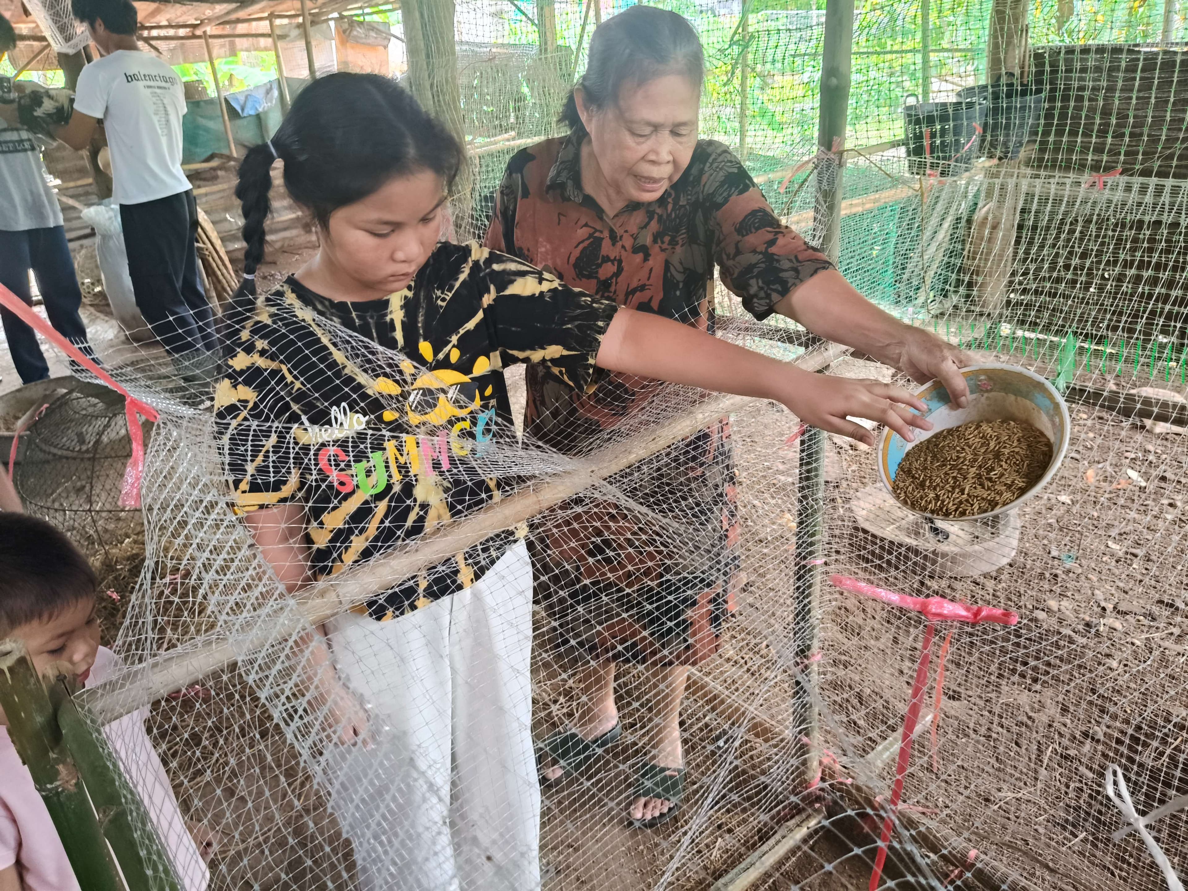 Smart Chicken Farmers