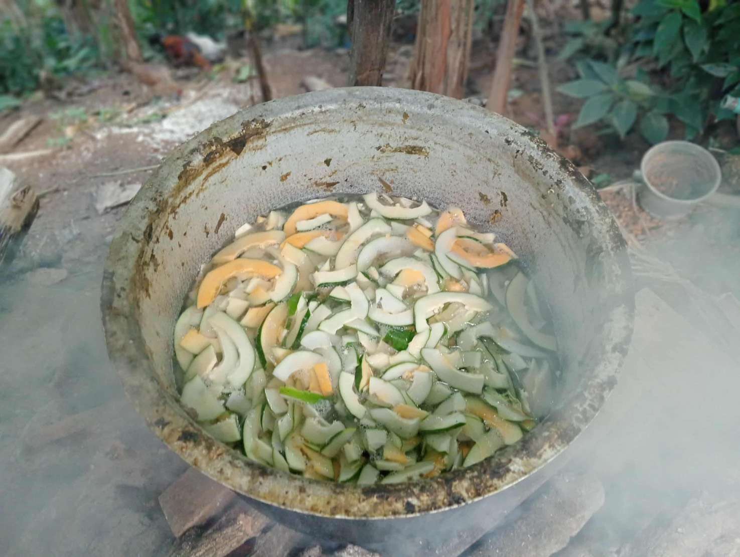Cooking up health: Boiled pig food made with all-natural, local ingredients to ensure a chemical-free diet for our pigs!
