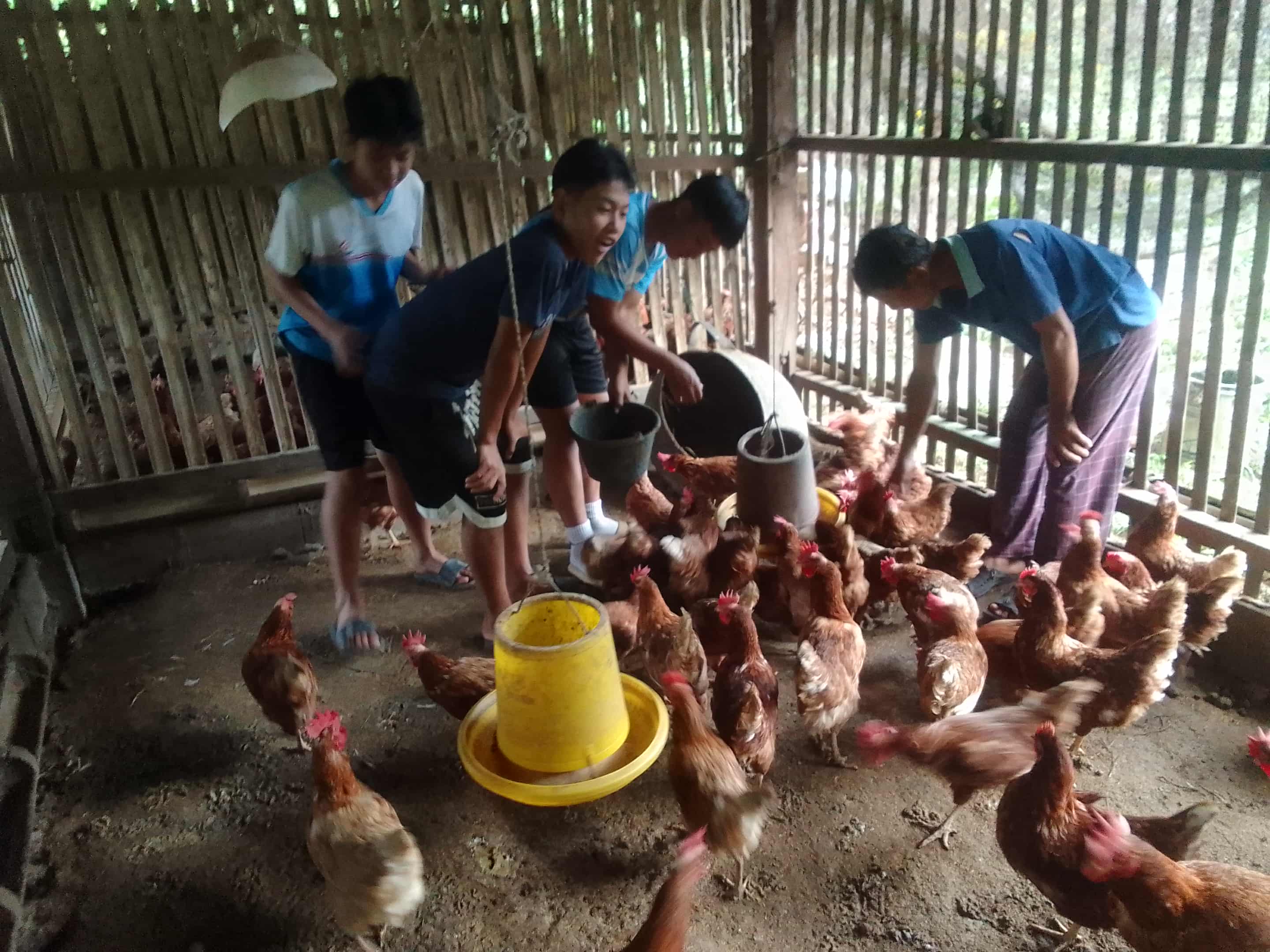 Clucking for Change: Fundraising for Our Egg-Raising Project!