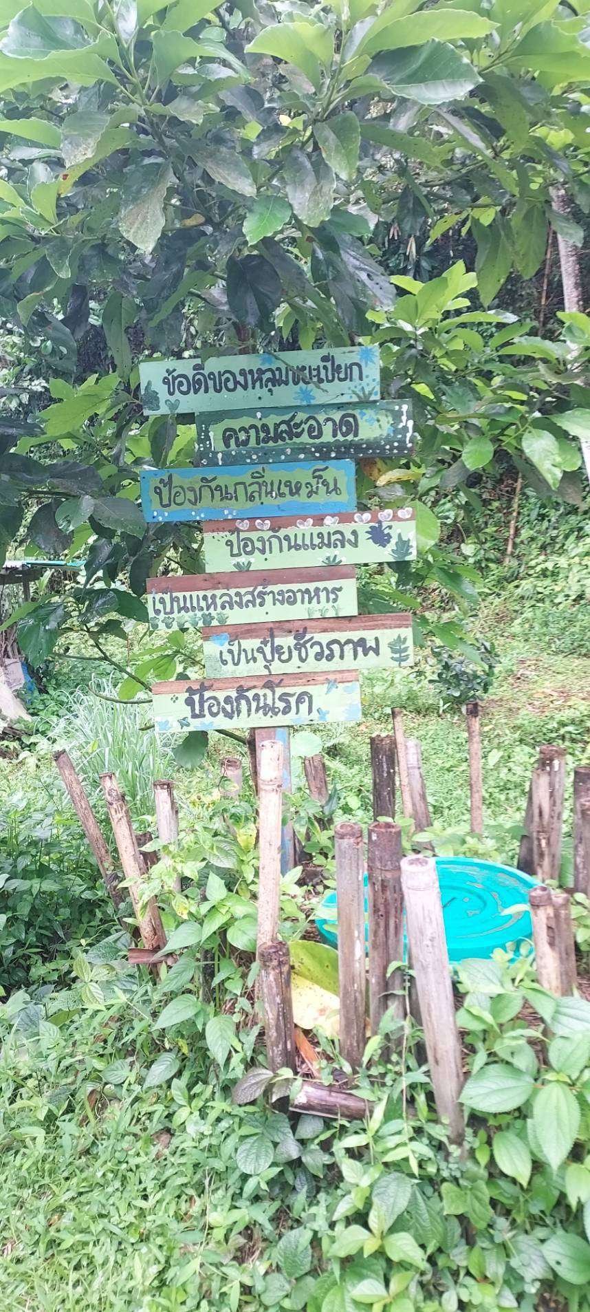 Discarding waste into a wet garbage pit.