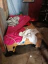 Fundación Centro de Desarrollo Integral Dios Proveerá