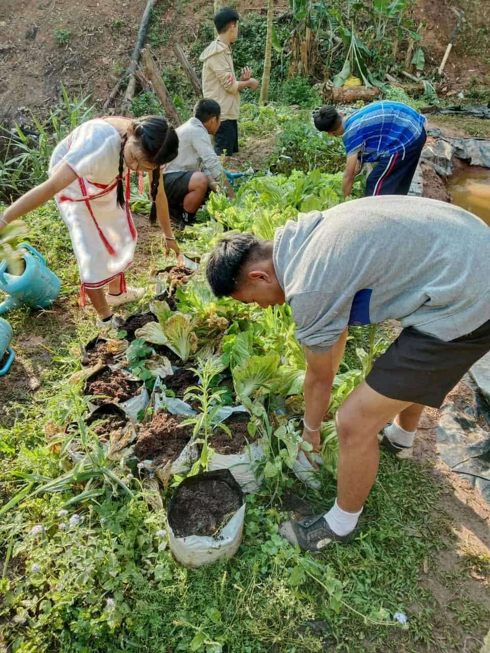 Green Thumbs in Training: Children learn how to grow vegetables for their families, nurturing both plants and life skills!