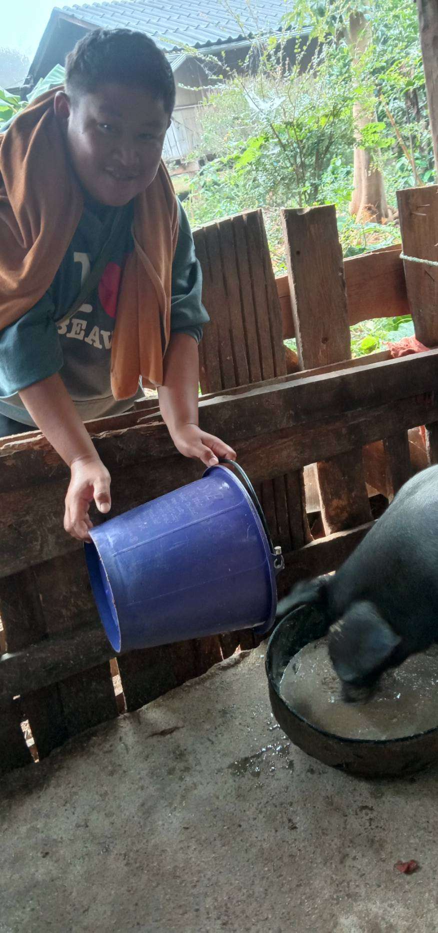 Pig Farming for Family Income and Stability