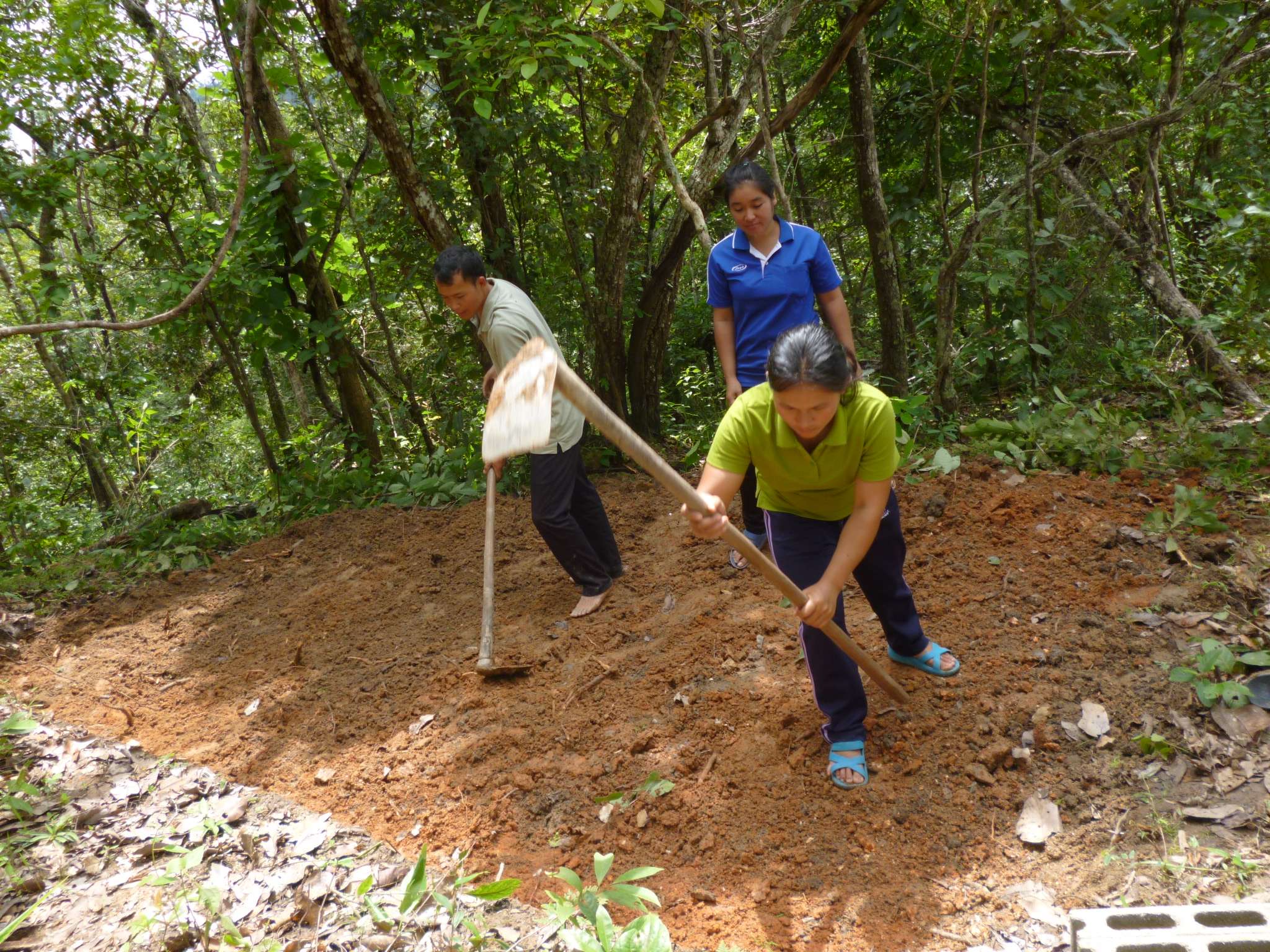 Preparing the fish pond