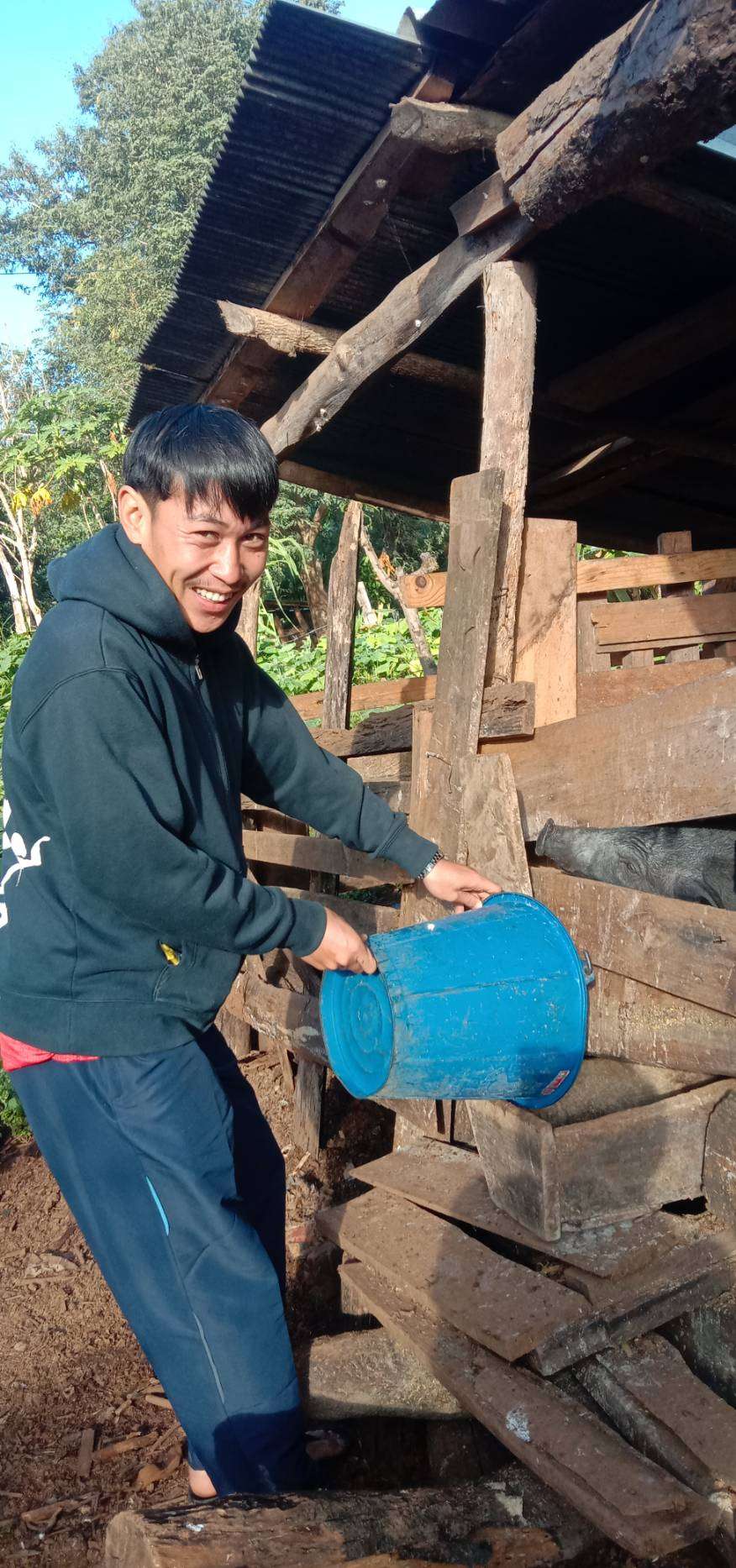 Pig Farming for Family Income and Stability