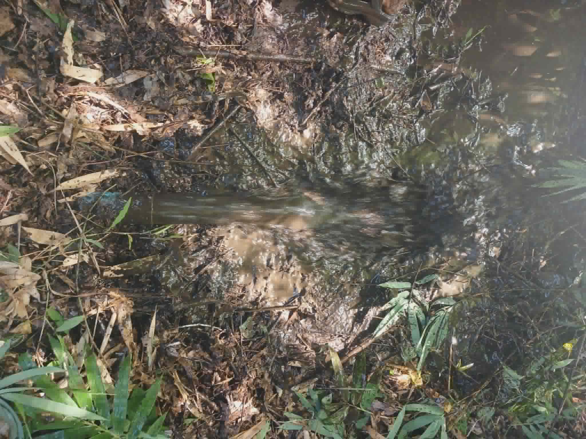 Water with settled sediment from the storage tank