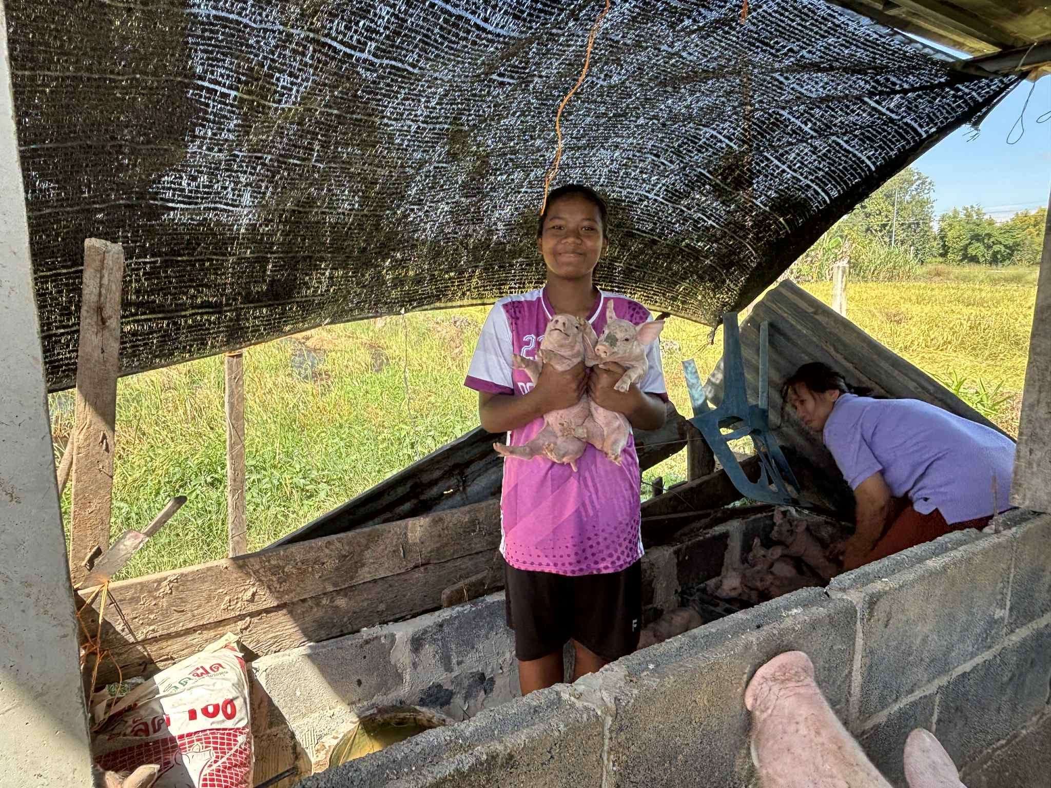 Pig Farming for Families