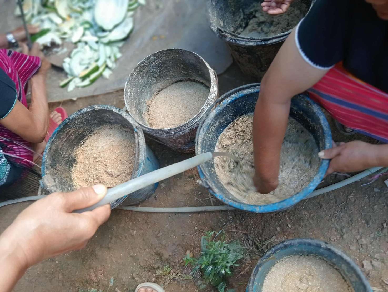 "Healthy cooking: Boiled pig food!"