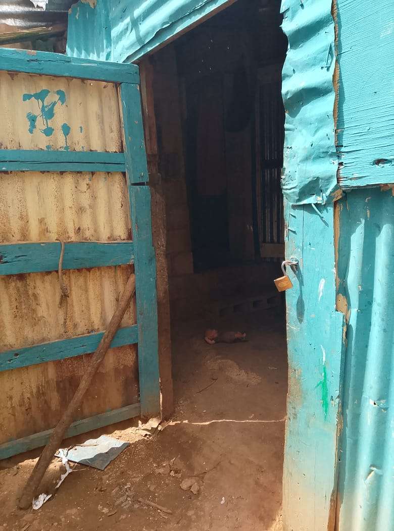 “Seven hearts, one bed, and one dream of hope”