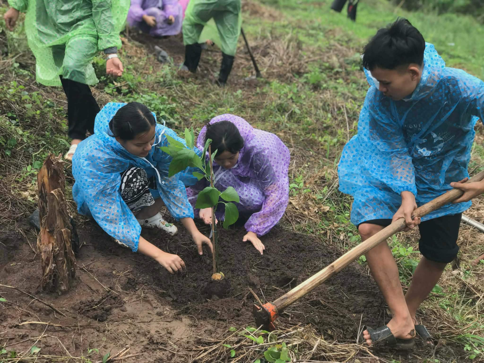 Faith, Food, and Future: The Creation Care Learning Hub