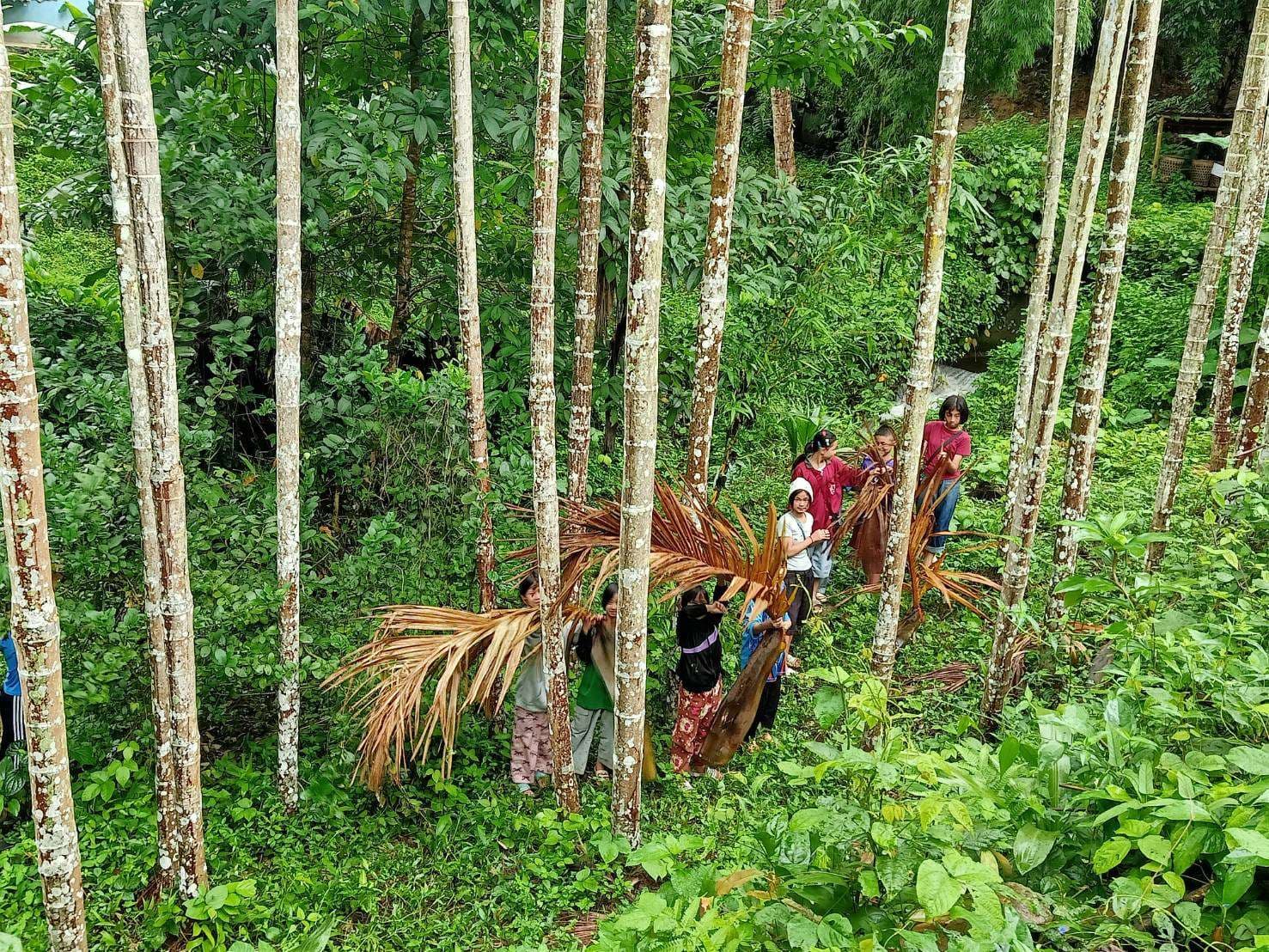 The children went to collect the fallen betel nut residue.