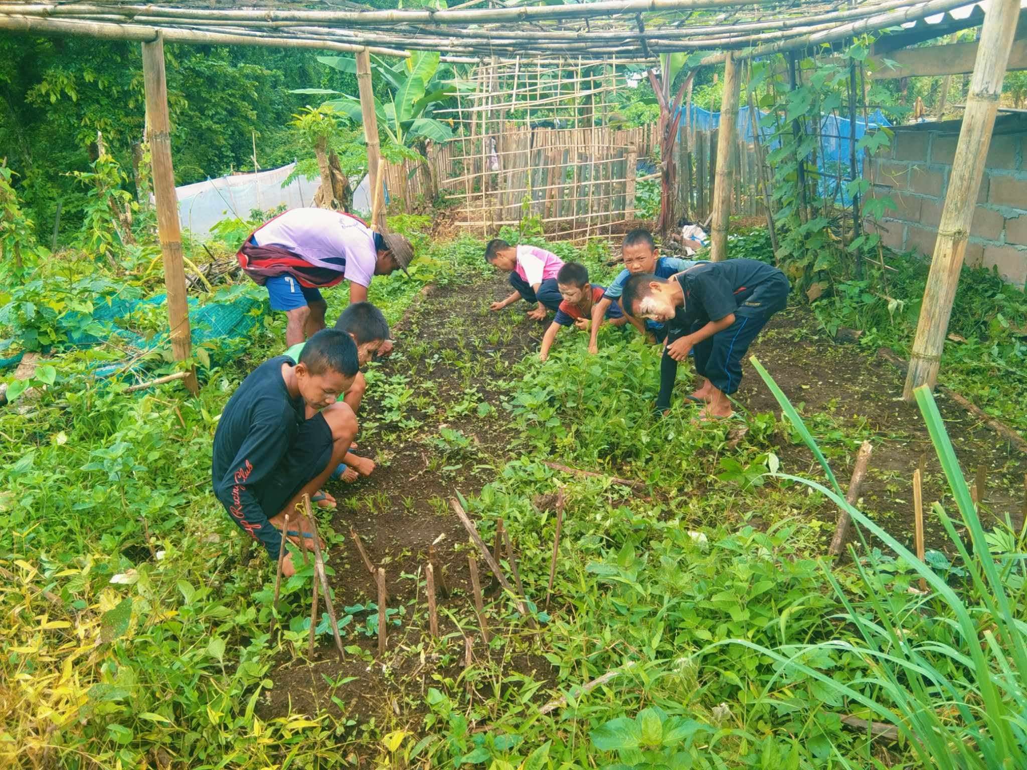 Joyful children helping to weed the vegetable plot, growing hope and bright futures!