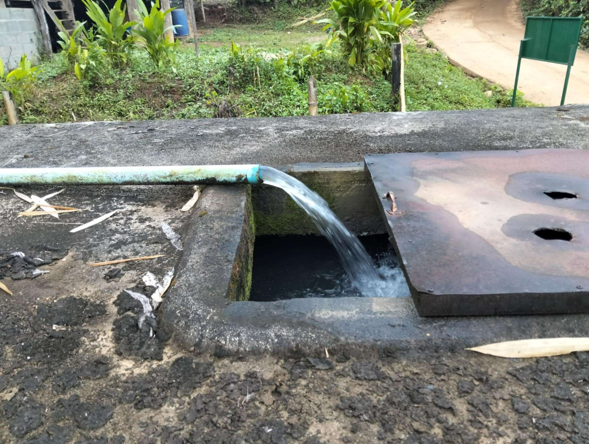 Water from the upstream forest flows into the storage tank.