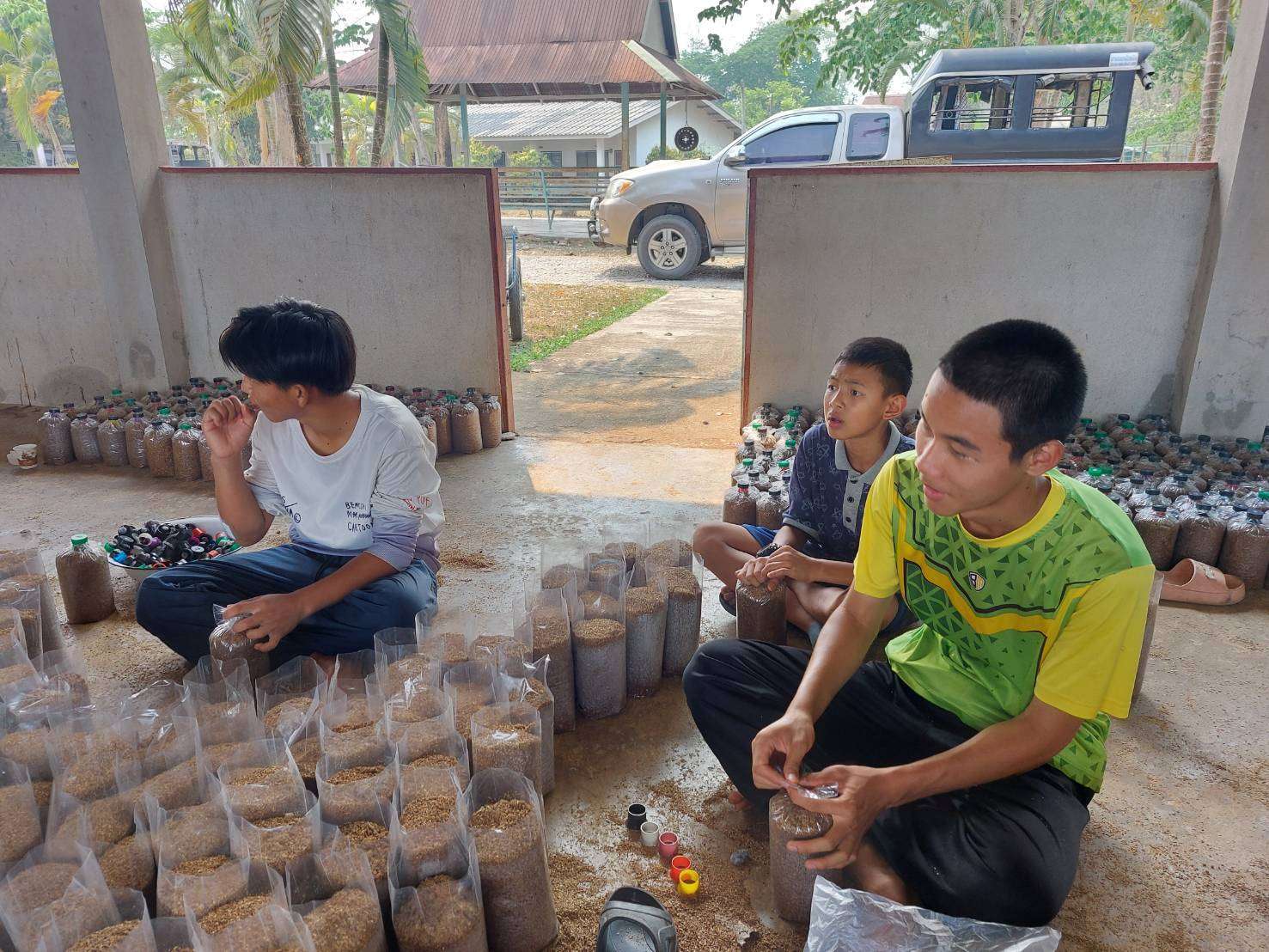 Some children are helping to bottleneck mushroom blocks.