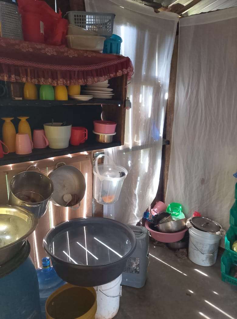 Four Little Ones and a Brave Mother