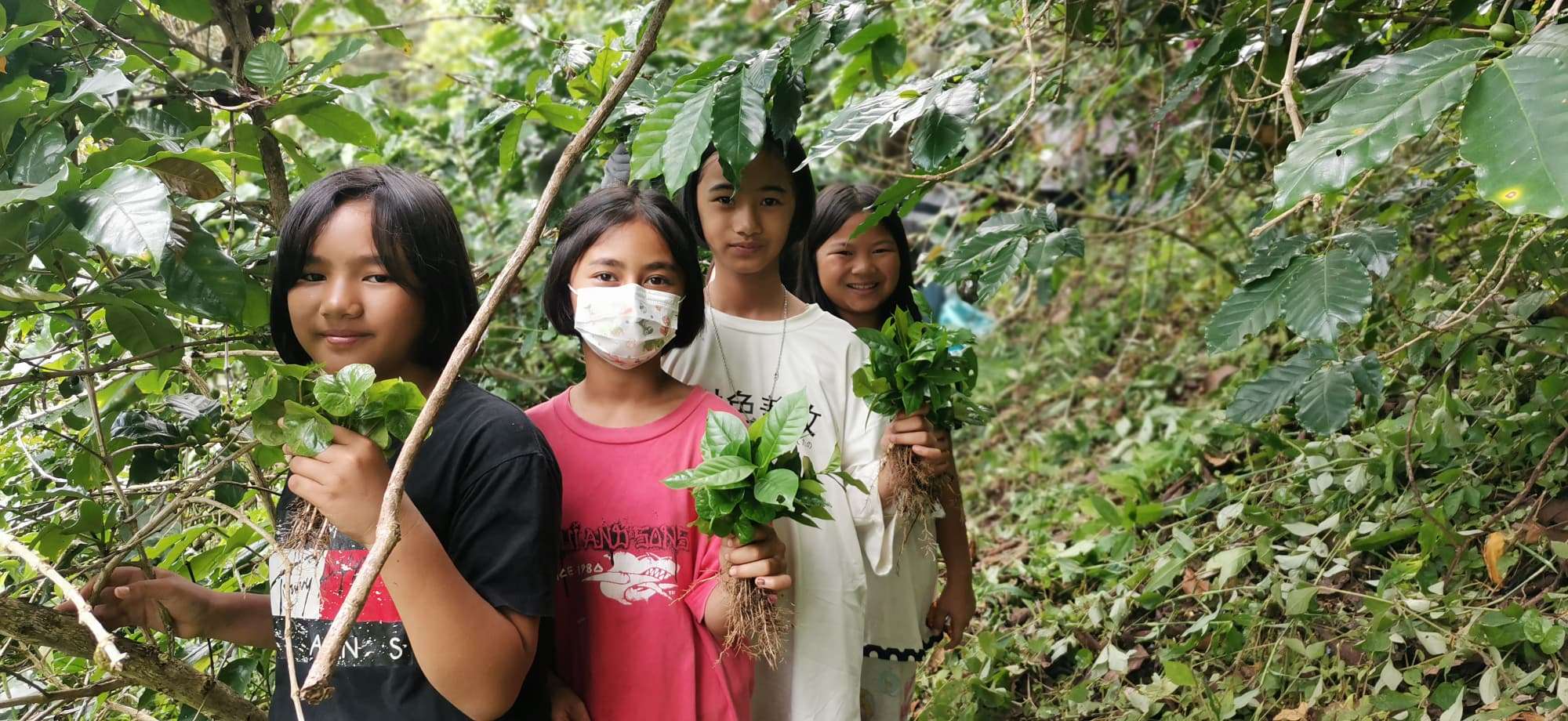 Youth prepare coffee seedlings for planting.