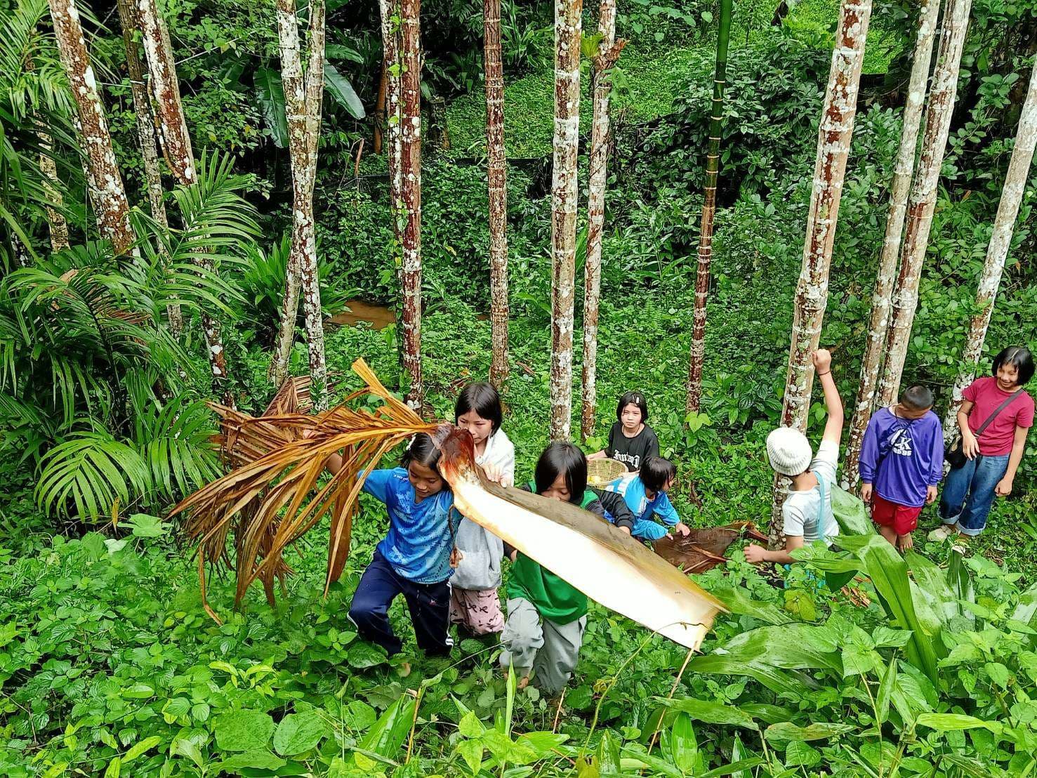 The children went to collect the fallen betel nut residue.
