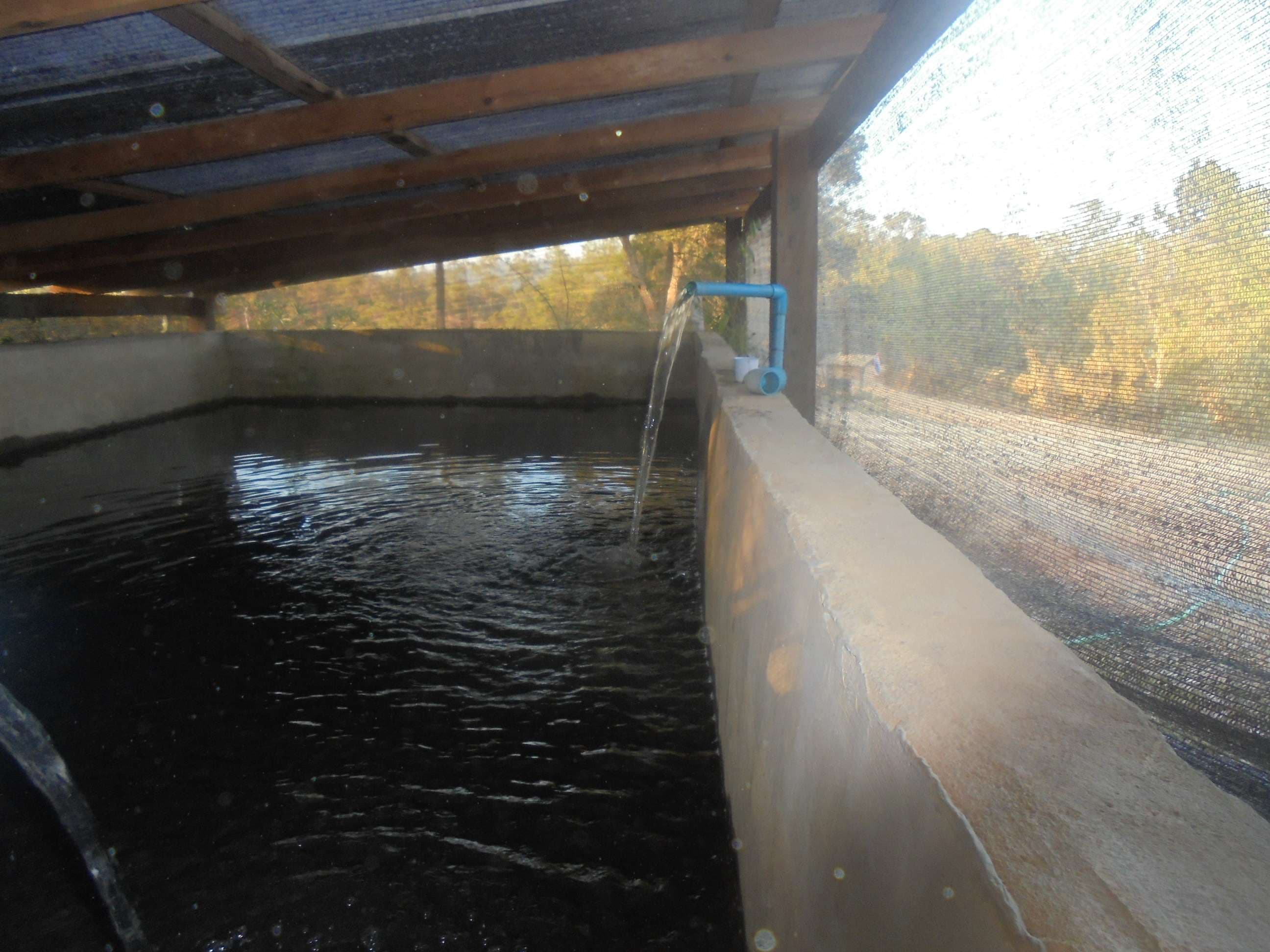 From the upstream source, the water is carried and kept in the village’s water storage area.