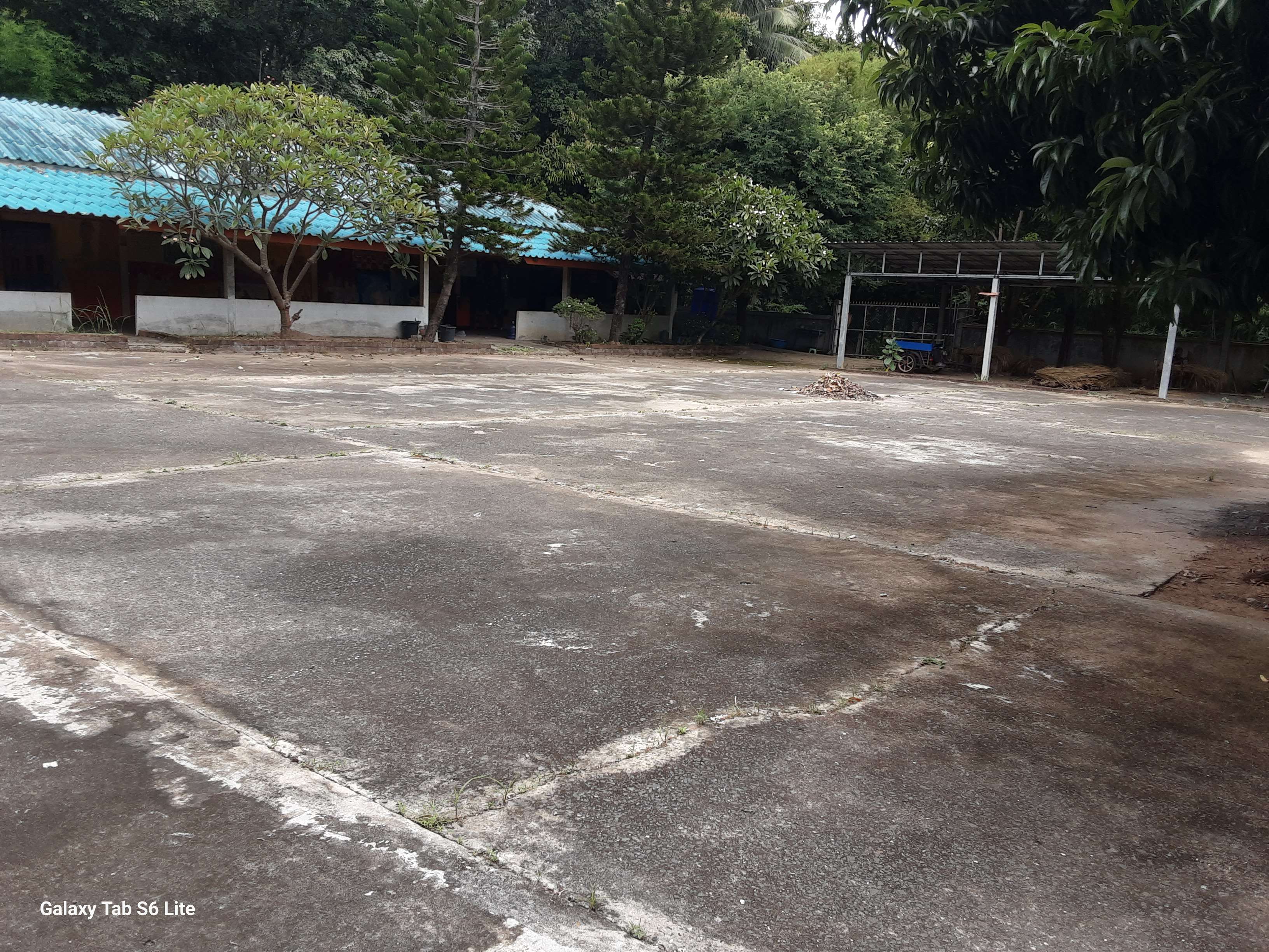 Our Field: Building the Heart of the Community
