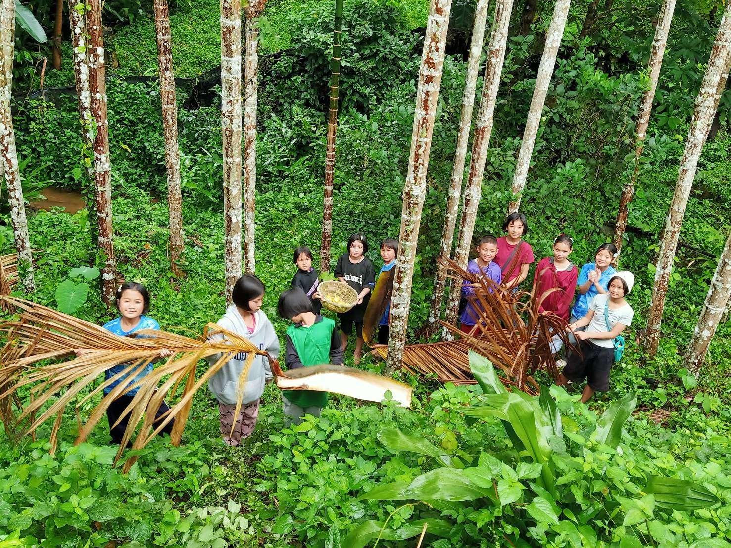 The children went to collect the fallen betel nut residue.