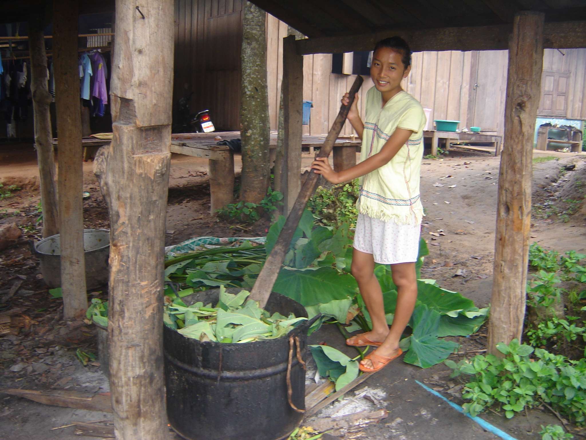 Children preparing and boiling food for pig feeding.