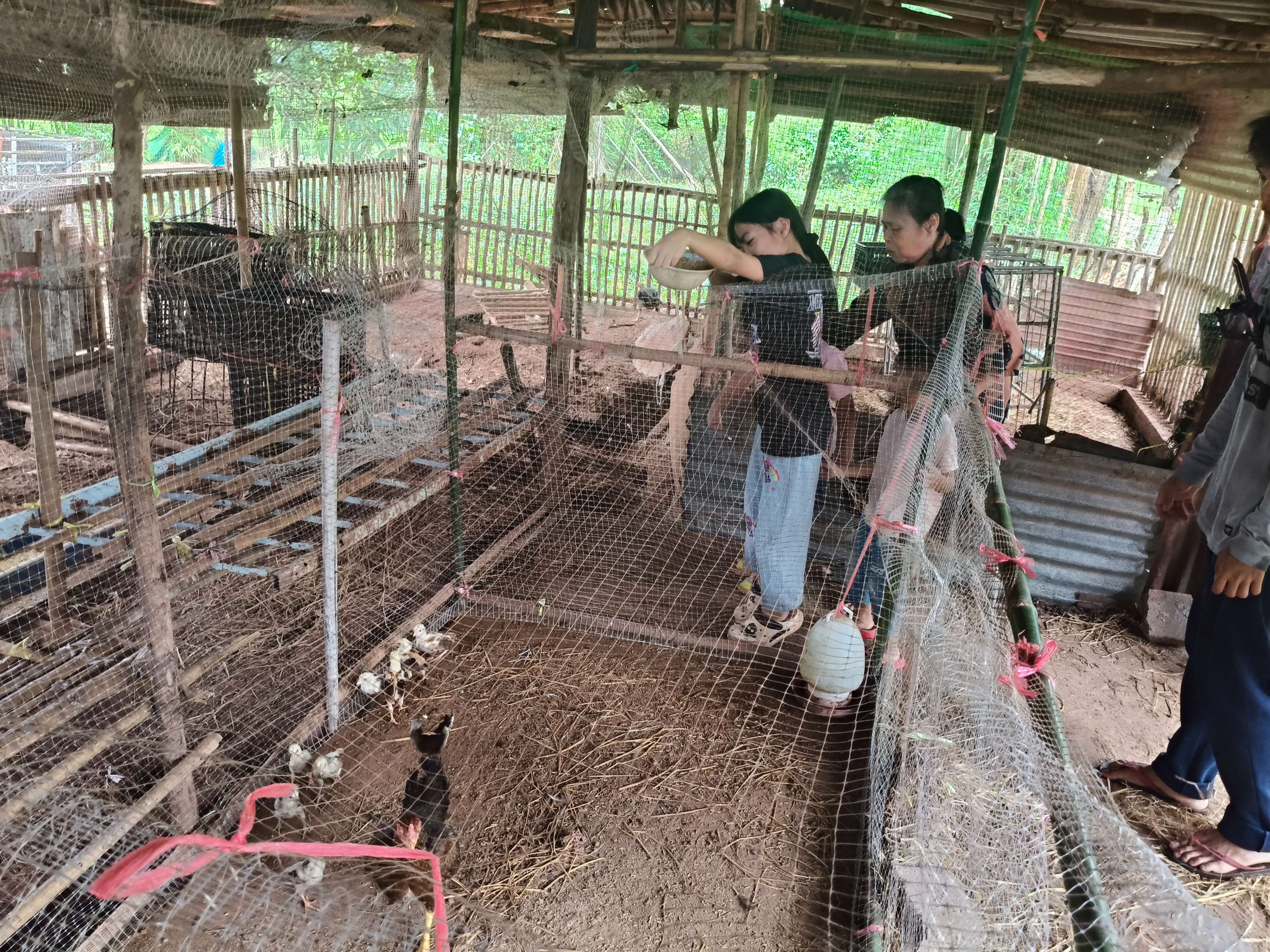 Smart Chicken Farmers