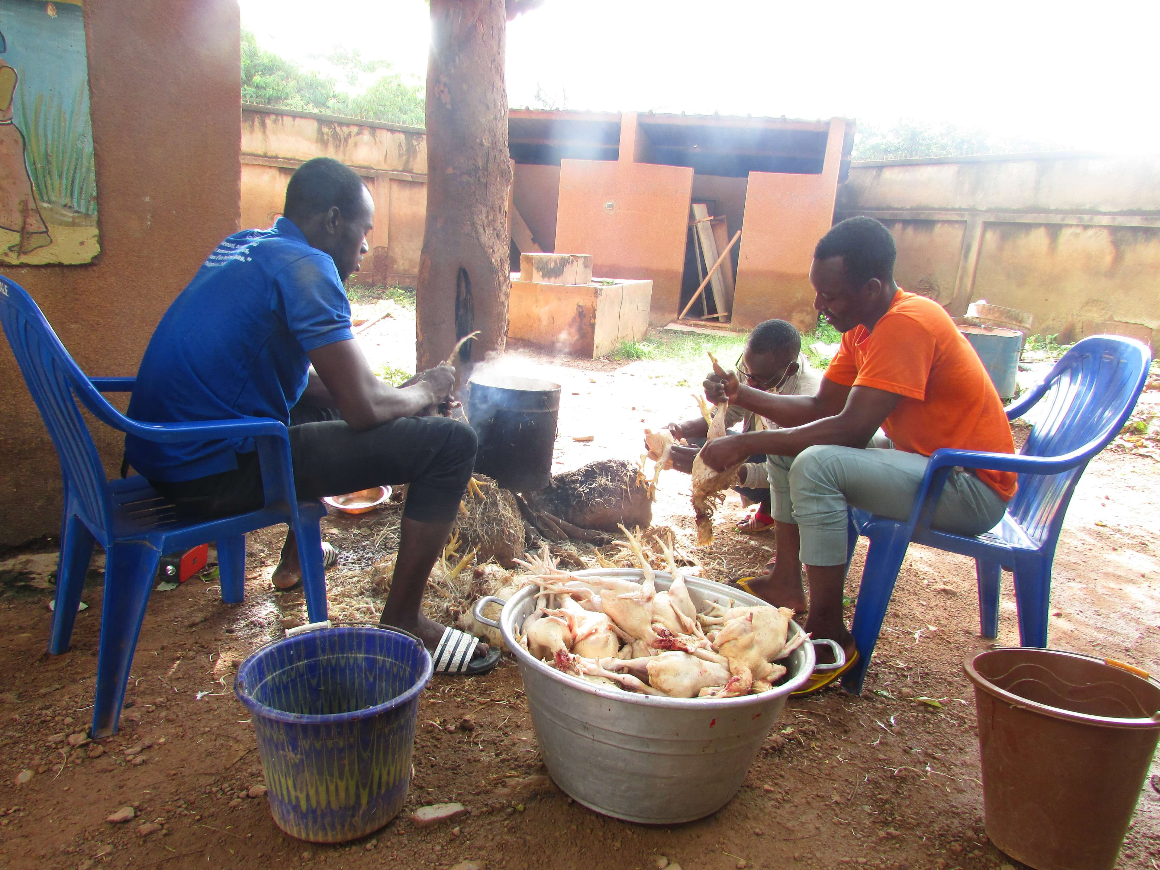 Chickens already purchased are being plucked