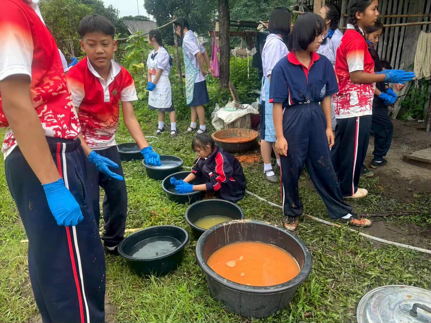 Mix natural dyes from tree bark.