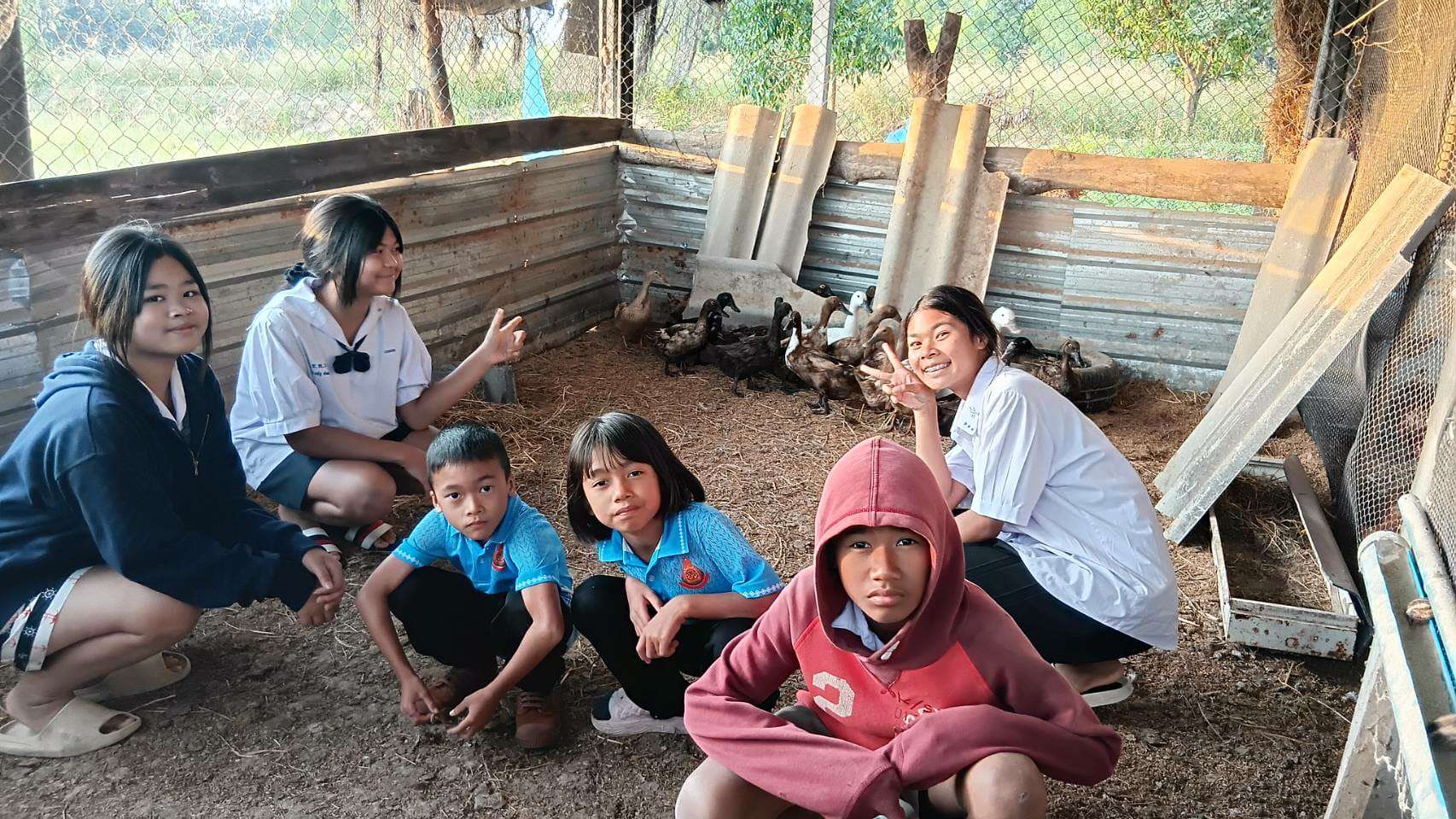 These are my little ducks!