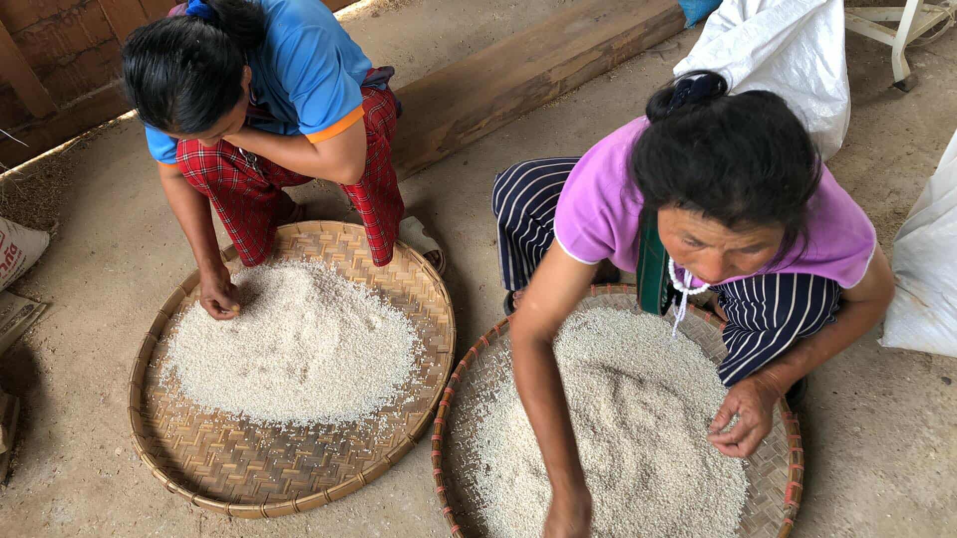Mother and daughter help each other to sort out the bad rice grains.