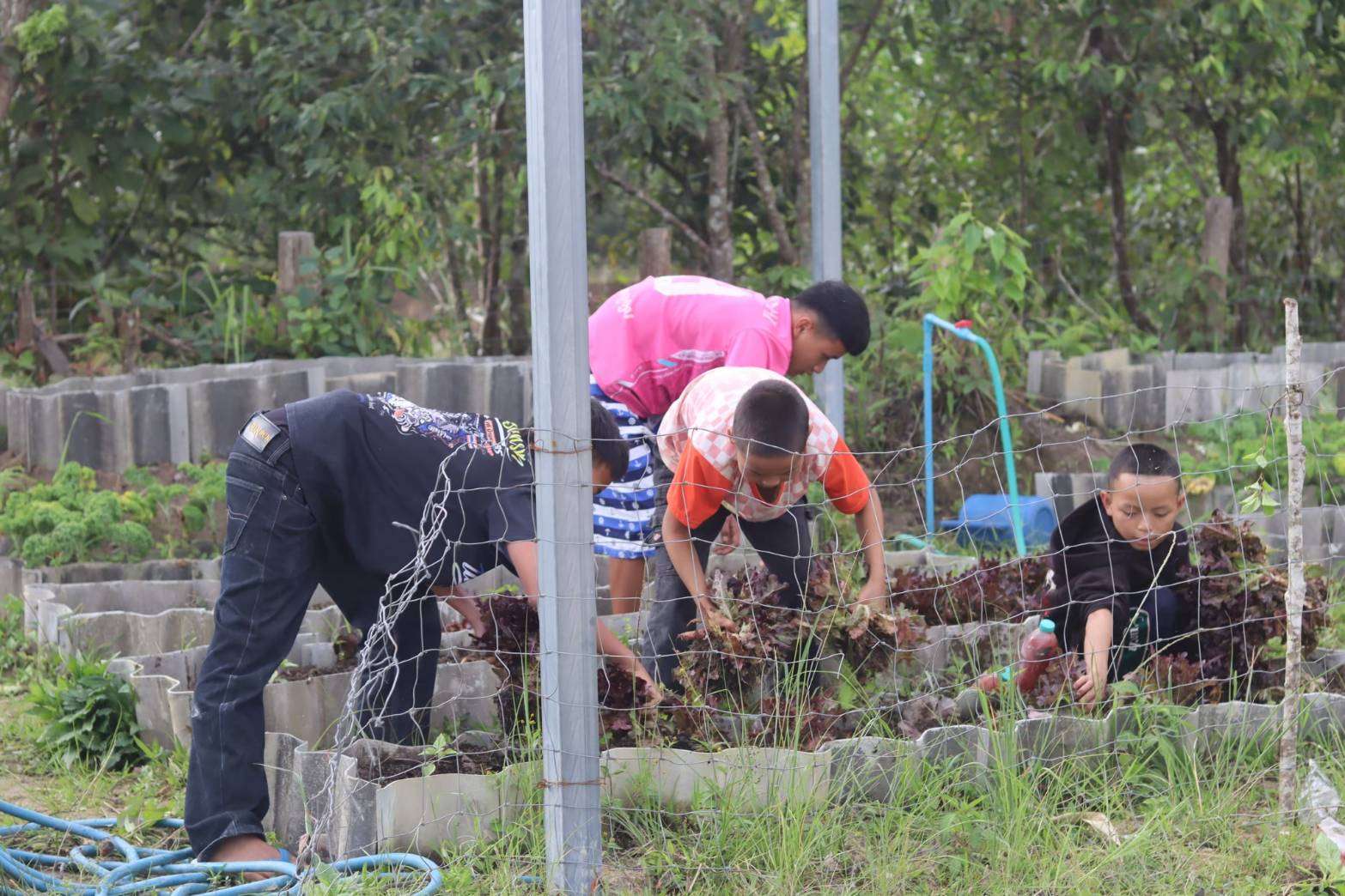 Boarding students will get to practice skills in growing vegetables.