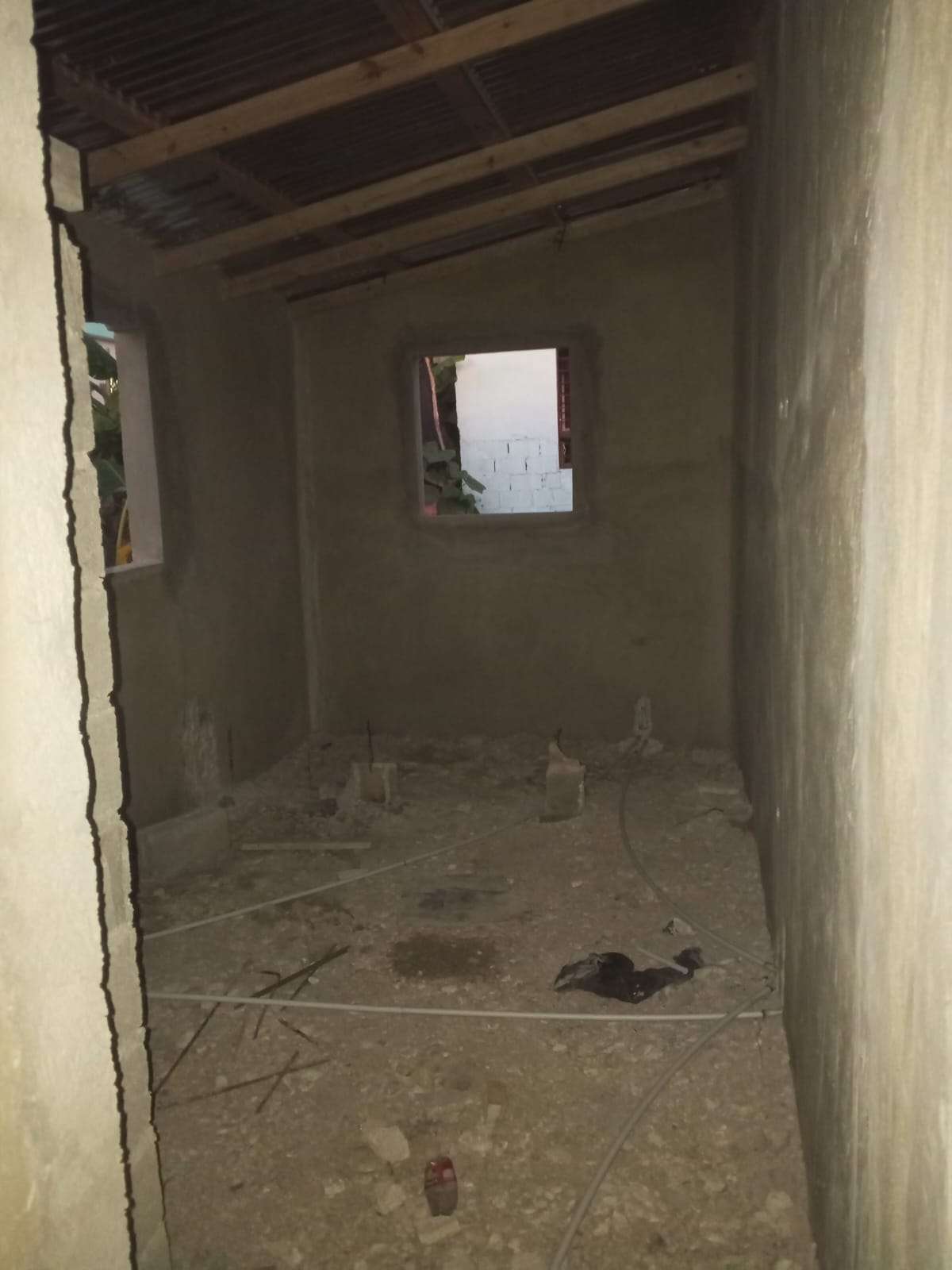 Seven hearts urgently need a home