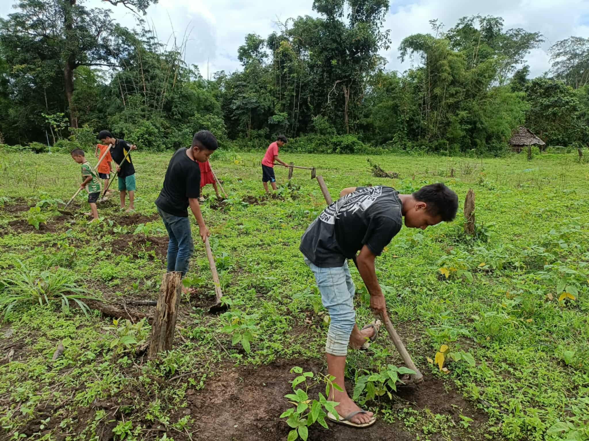 Agriculture in practice