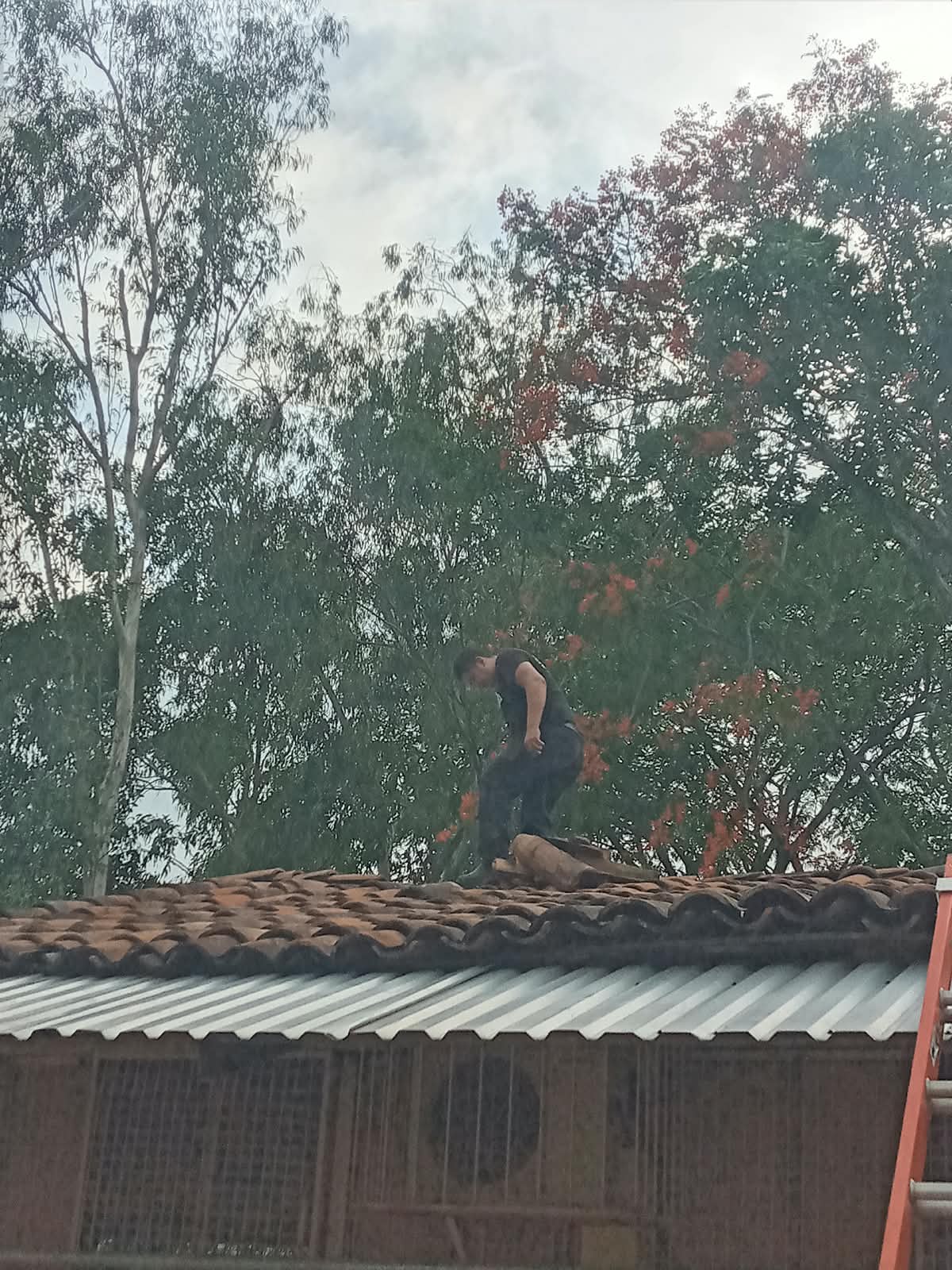 Safe Roof for Learning Children
