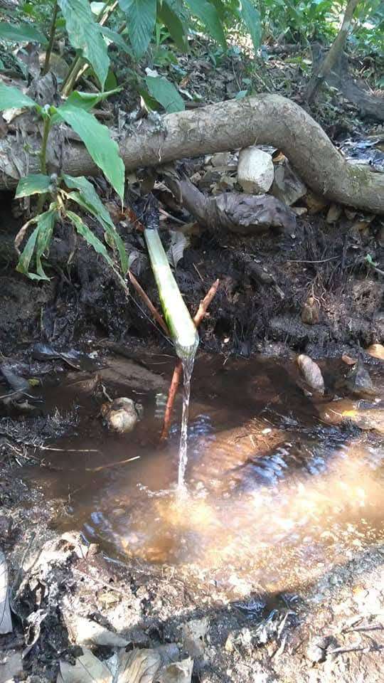 The intact watershed forests provide year-round water sources.