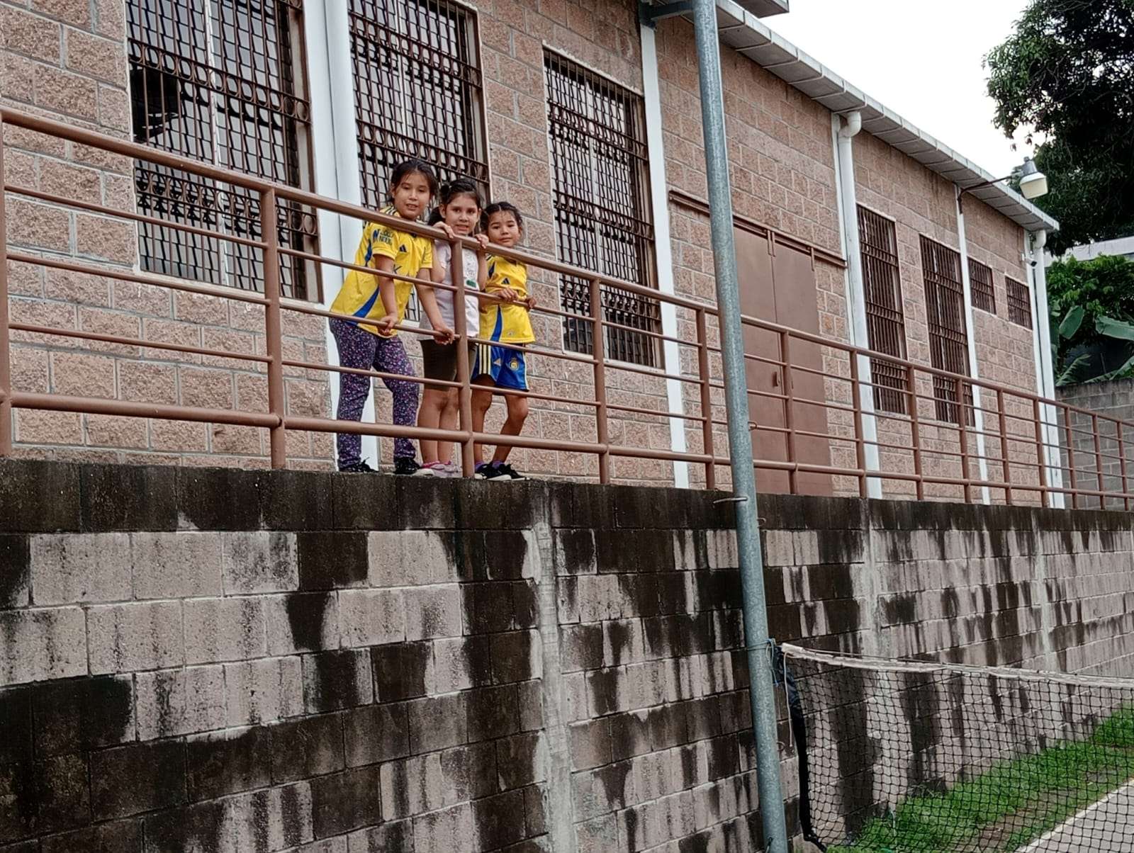 Handrails in front of the court