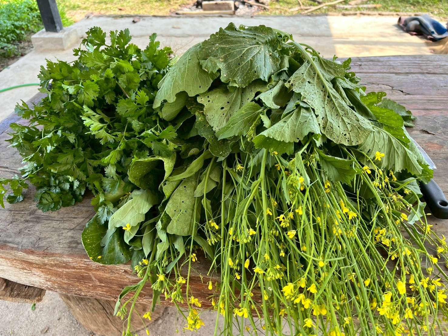 Freshly produce for stir-fry resulting from the children's learning and hands-on experience.