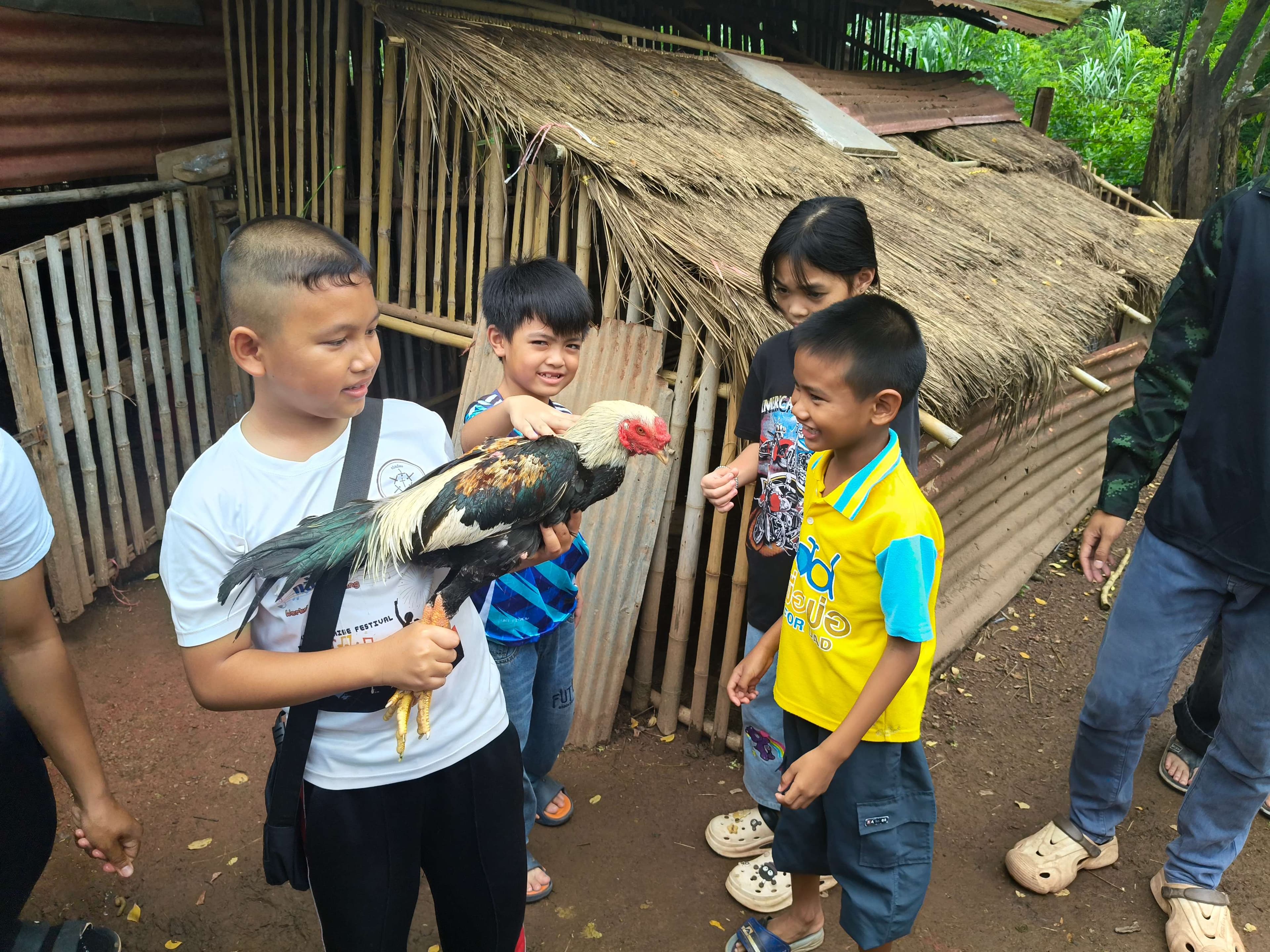 Smart Chicken Farmers
