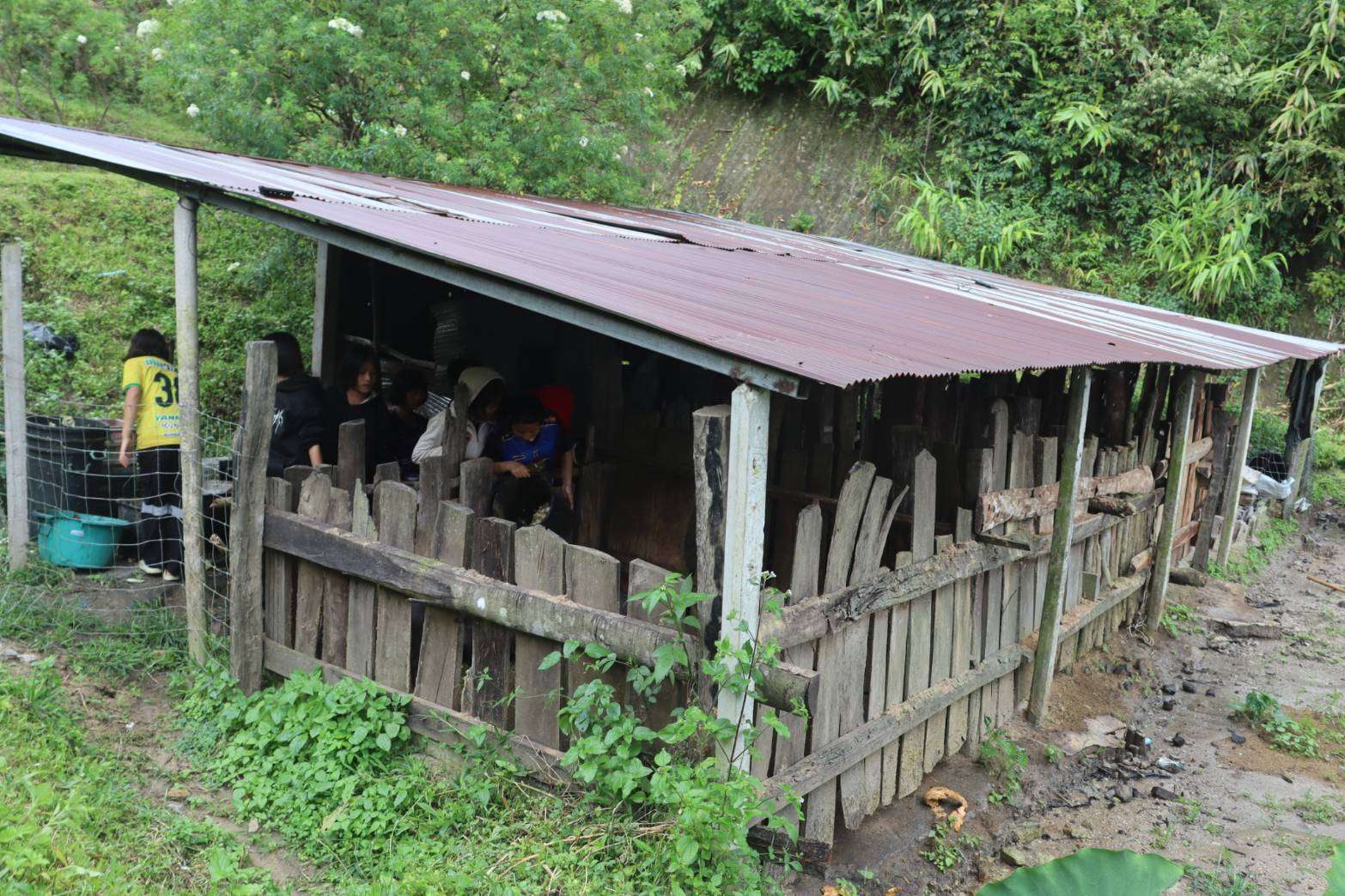 Pig farm for sustainable livelihood development.