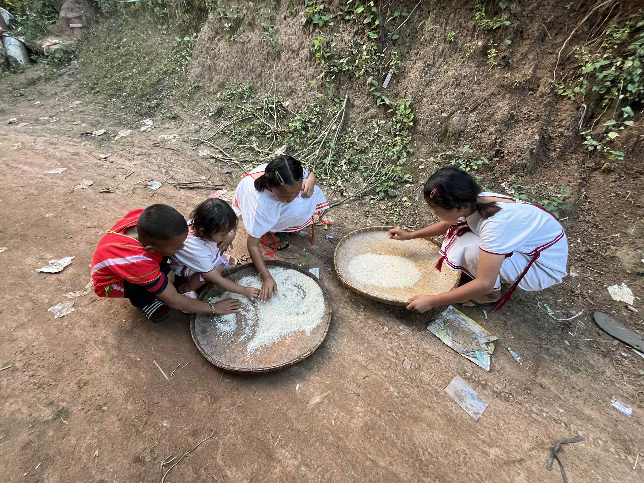 Children help to sort out the bad rice grains.