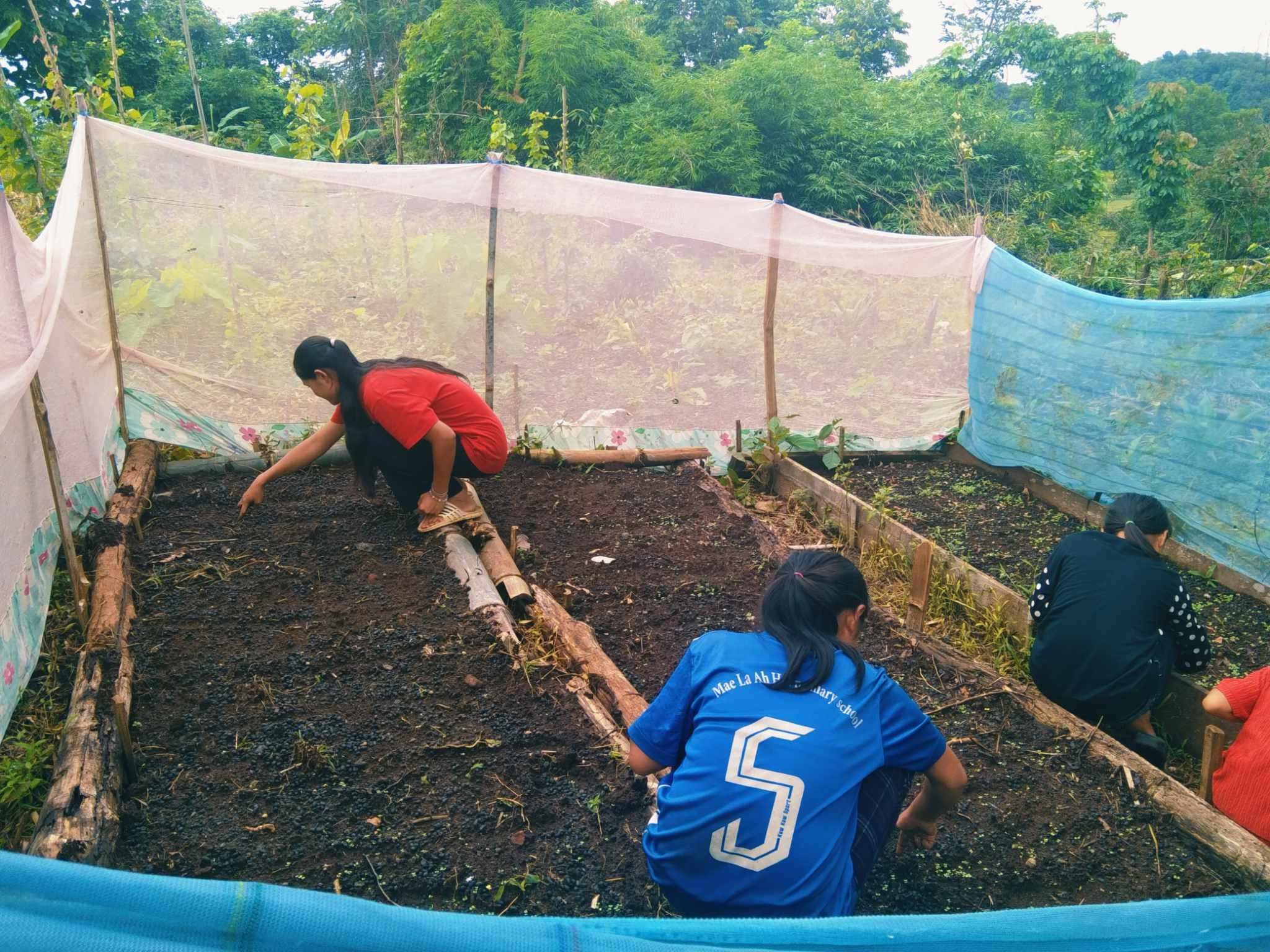 Children sowing seeds in the field, cultivating hope and nature’s promise