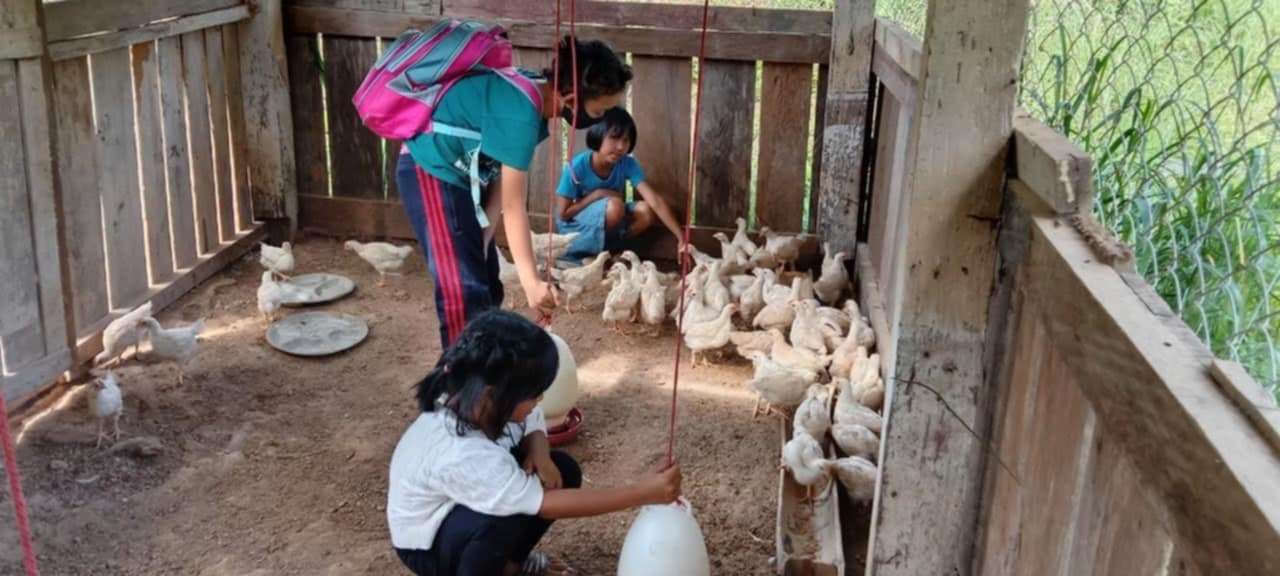 Clucking for Change: Fundraising for Our Egg-Raising Project!