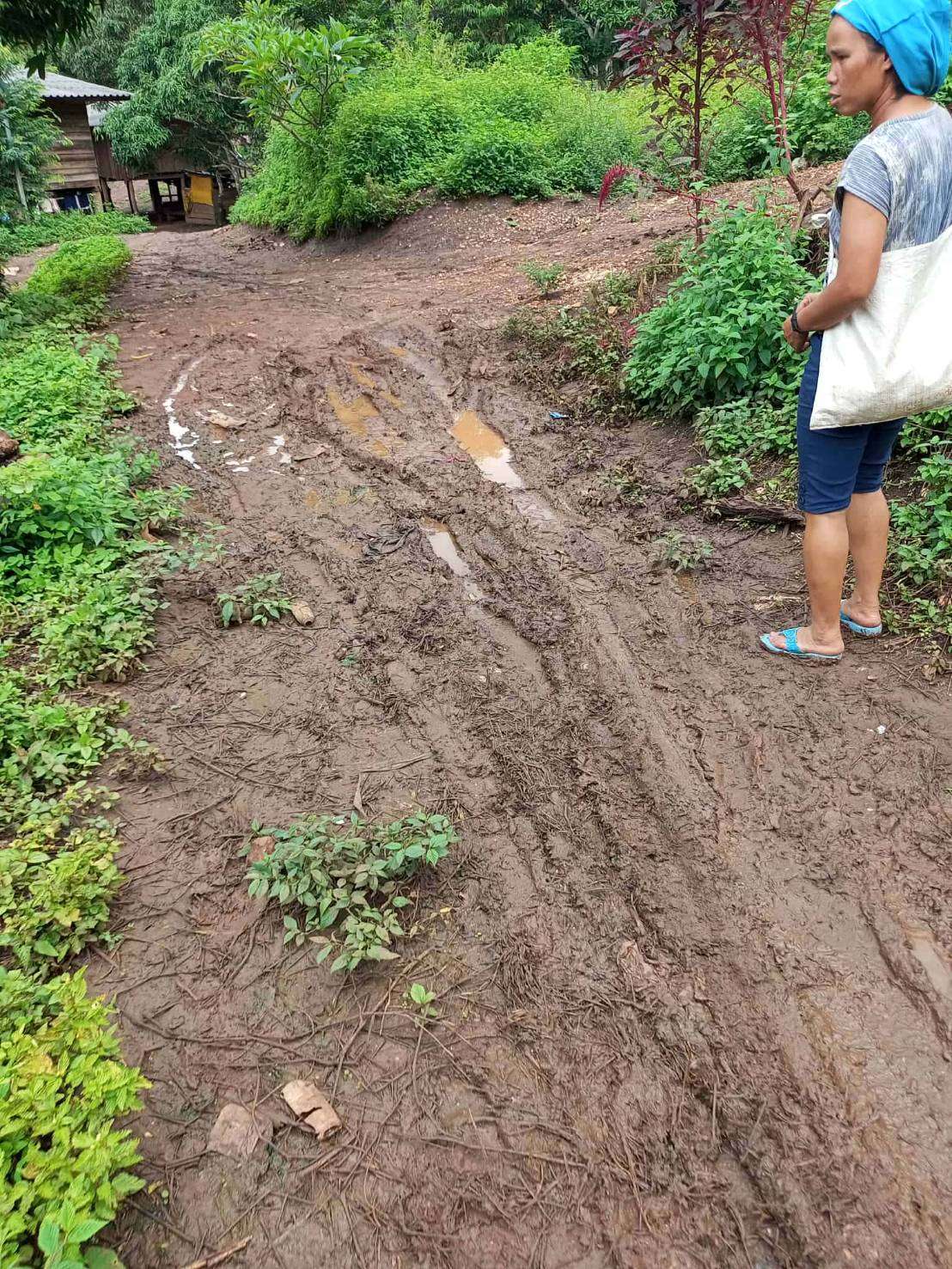 Community road conditions