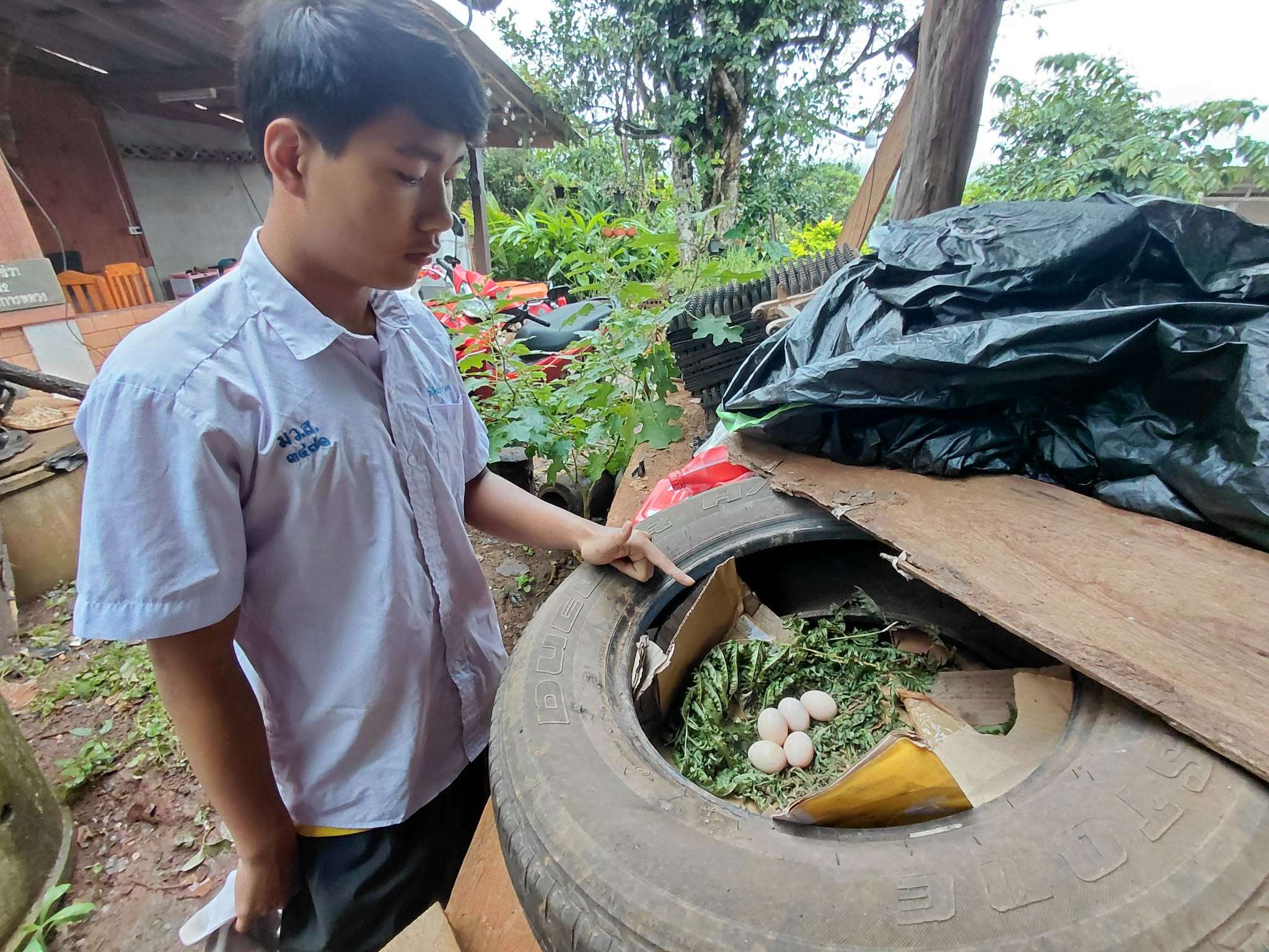 From student to producer. He’s not just raising chickens; he’s building a foundation for his own financial self-reliance.