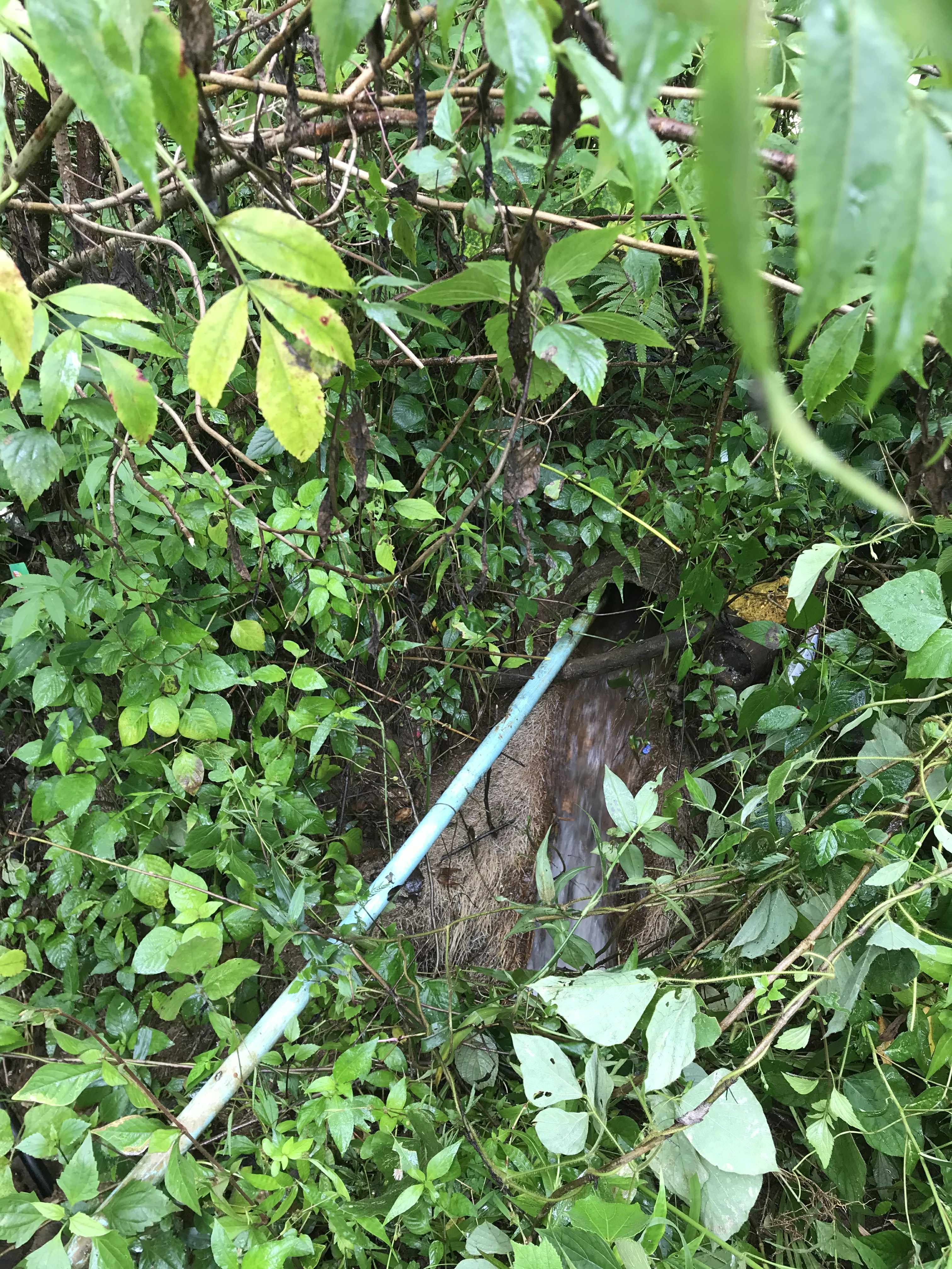 Water source for this local community