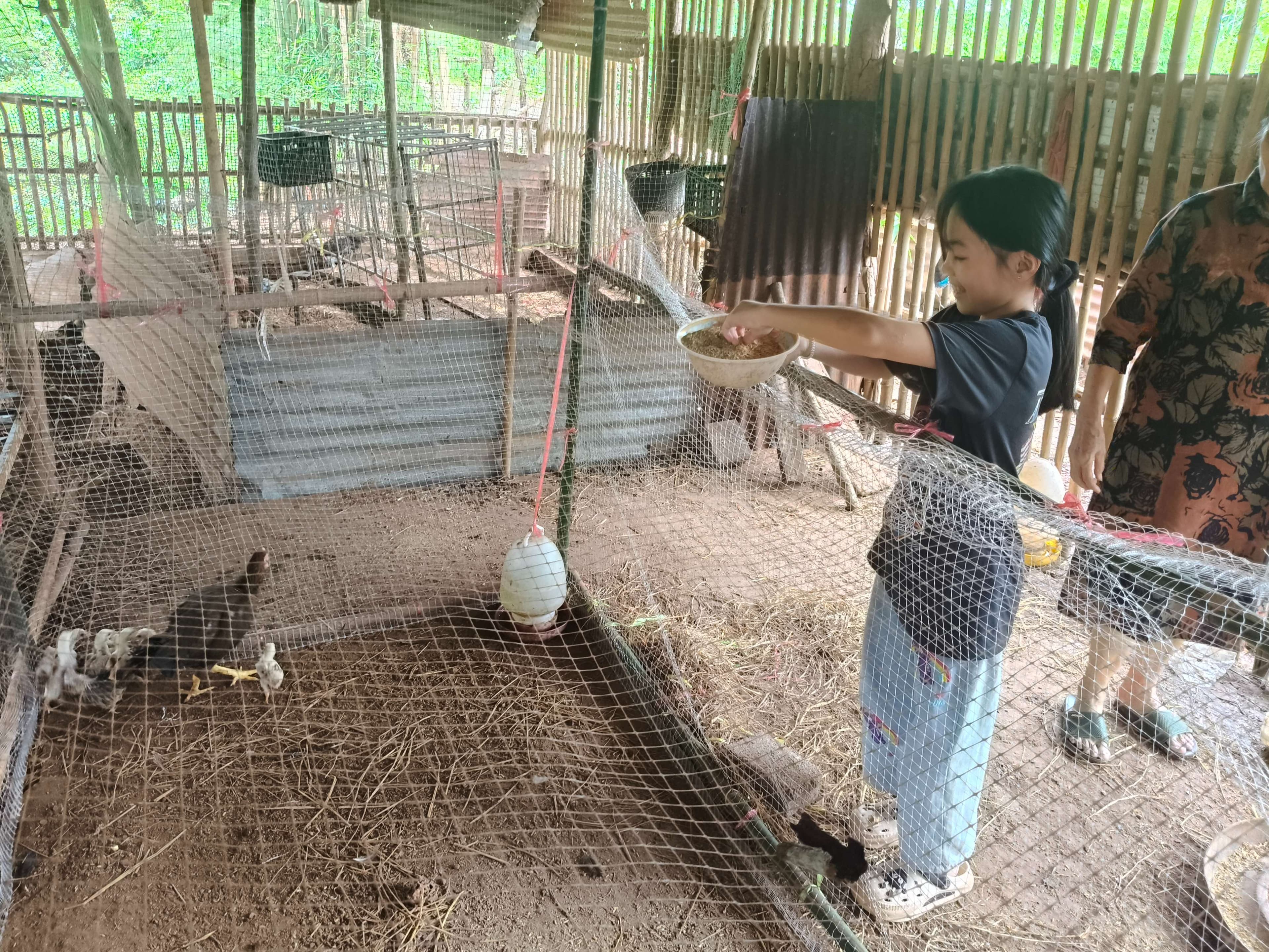 Smart Chicken Farmers