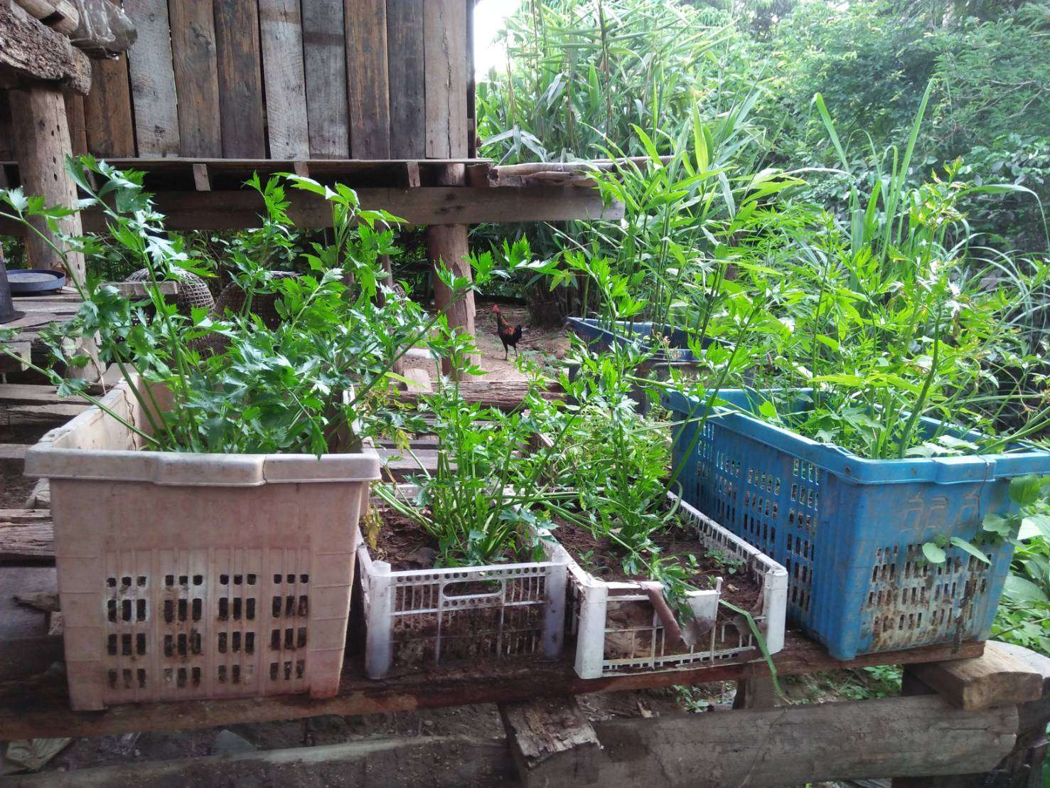 Creating a vegetable garden area using waste materials to promote sustainability and resourcefulness.